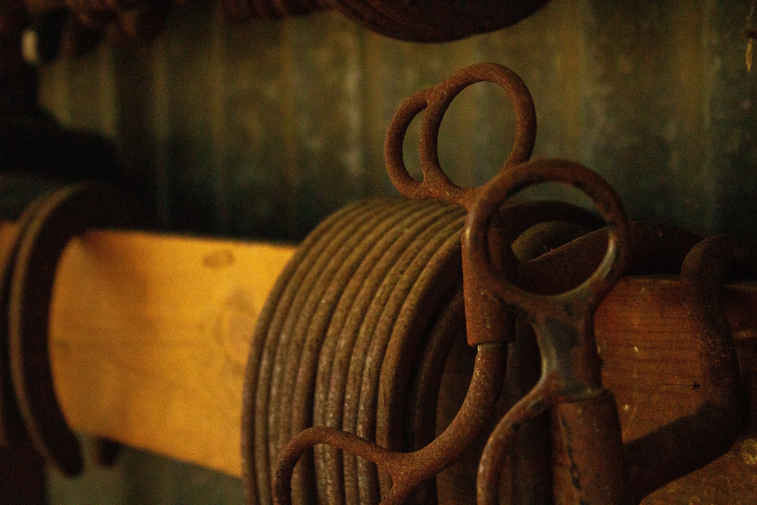 Branding-Farrier