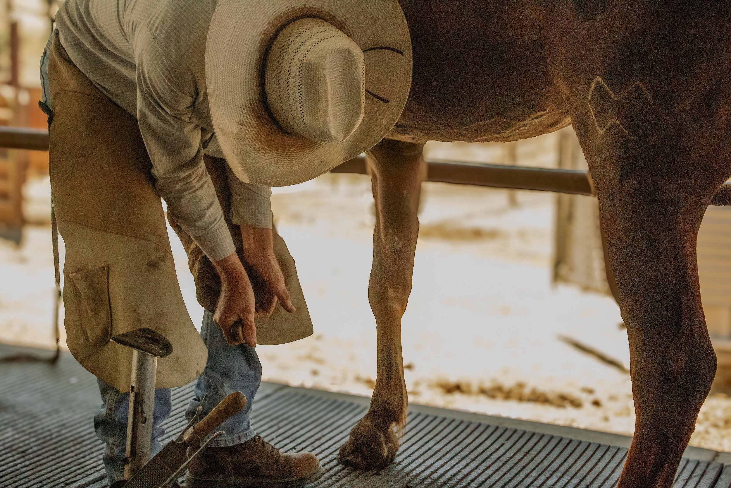 Branding-Farrier