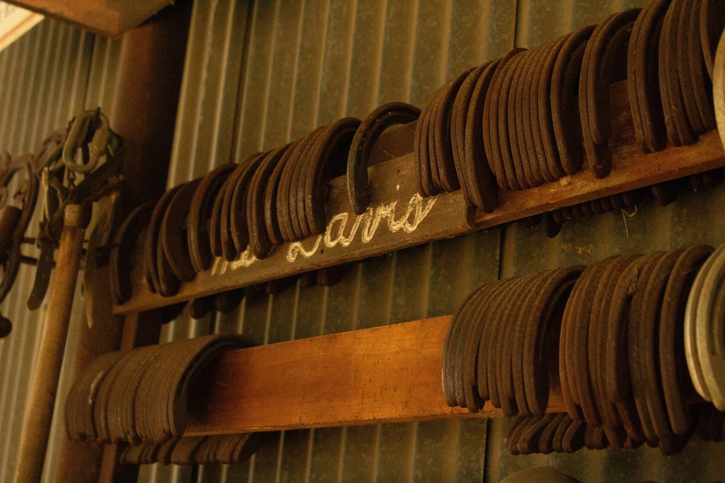 Branding-Farrier