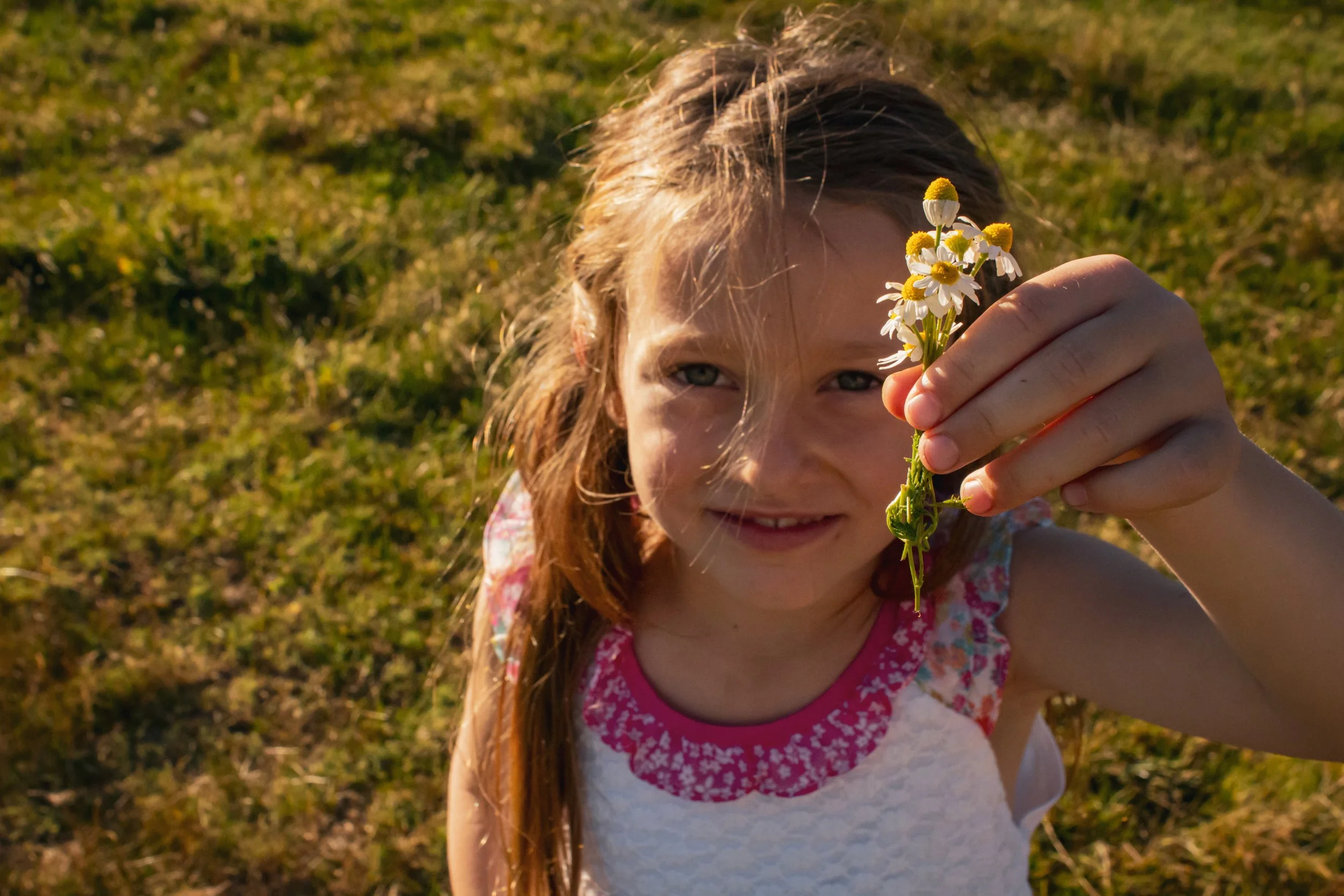 Smiling girl holding a small bouquet of white daisies in a sunlit field
