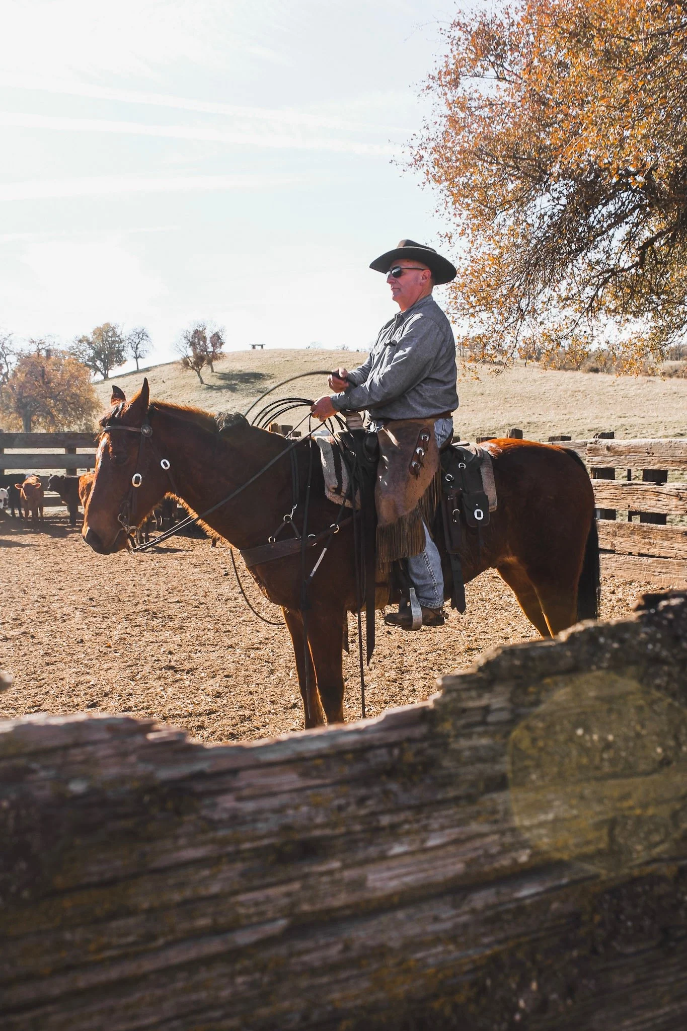 Cowboy wearing a black hat and sunglasses riding a saddled horse in a rustic corral during autumn.