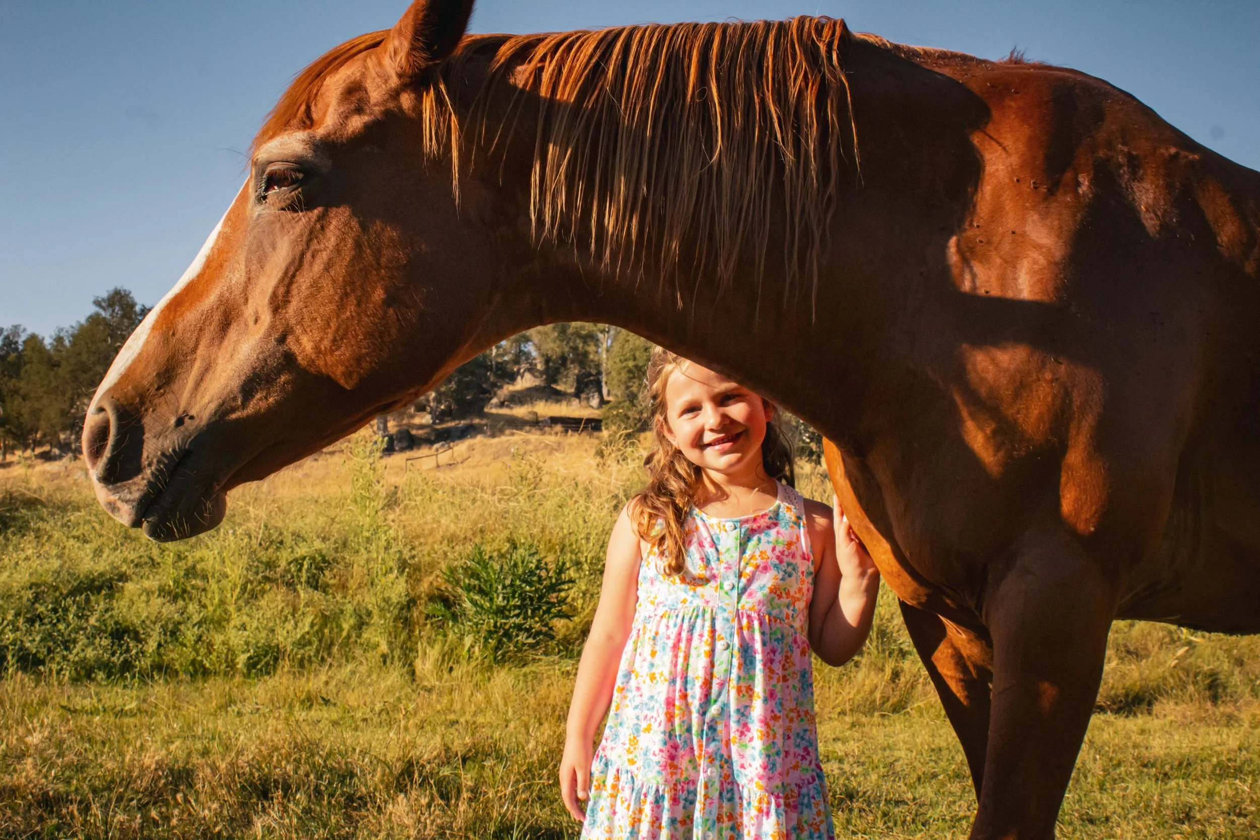 Family Session-Bowens