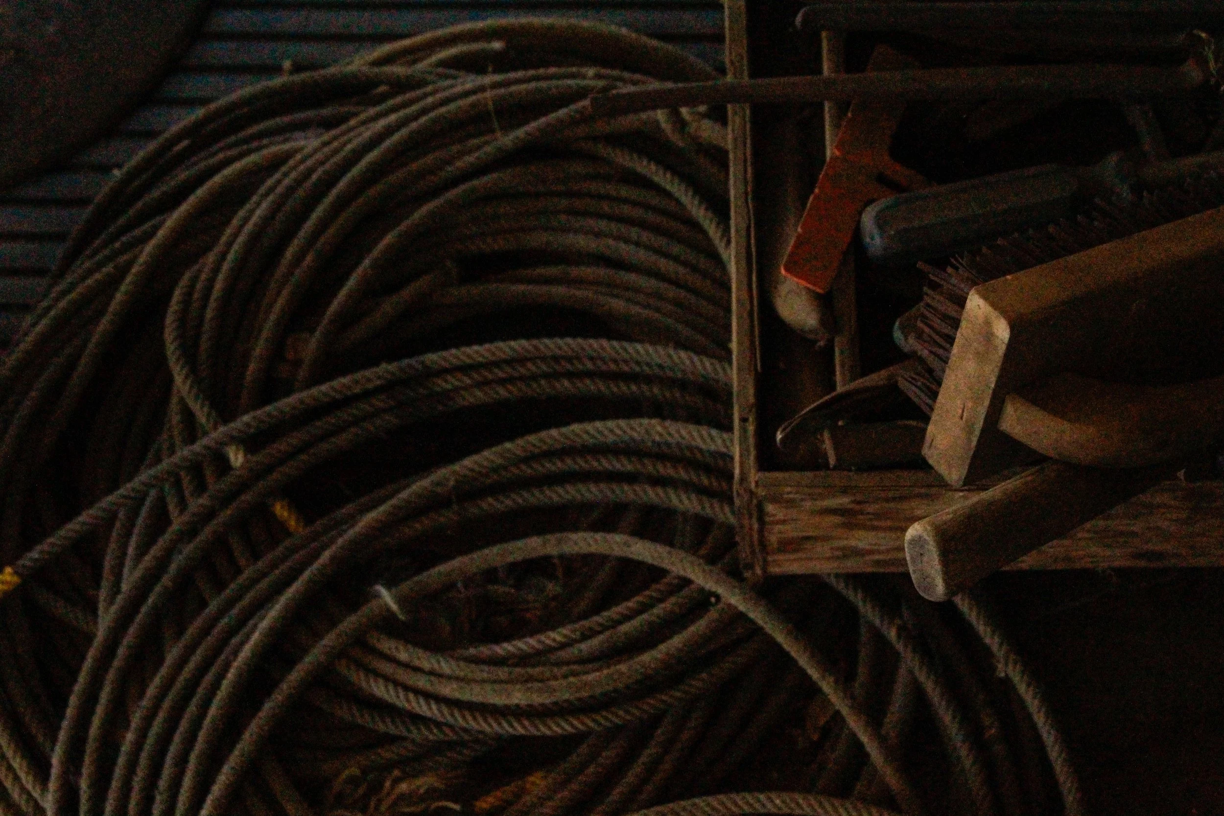 Branding-Farrier