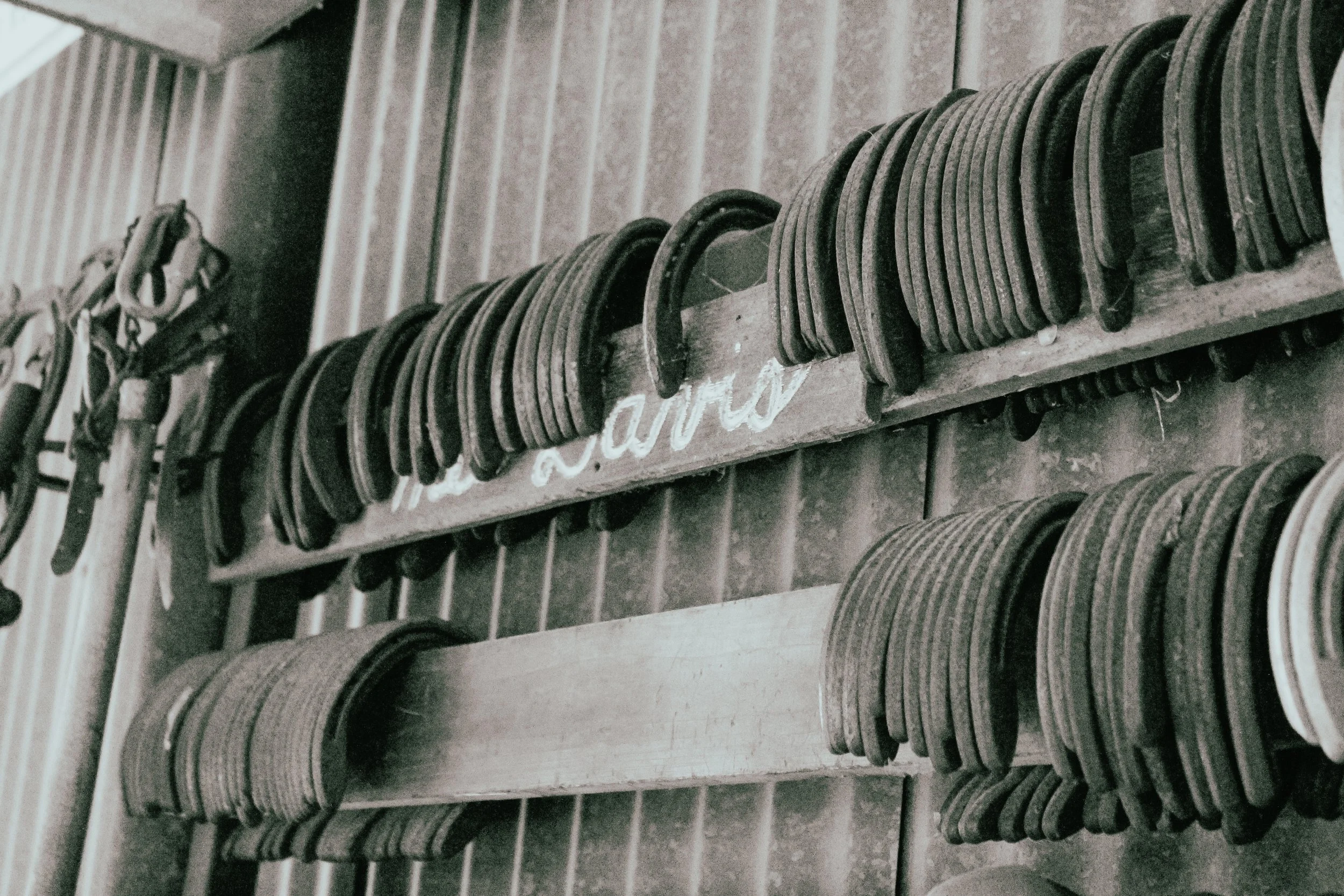 Branding-Farrier