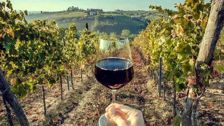 El Renacer del Vino Mexicano: Un Brindis por la Tradición y la Innovación