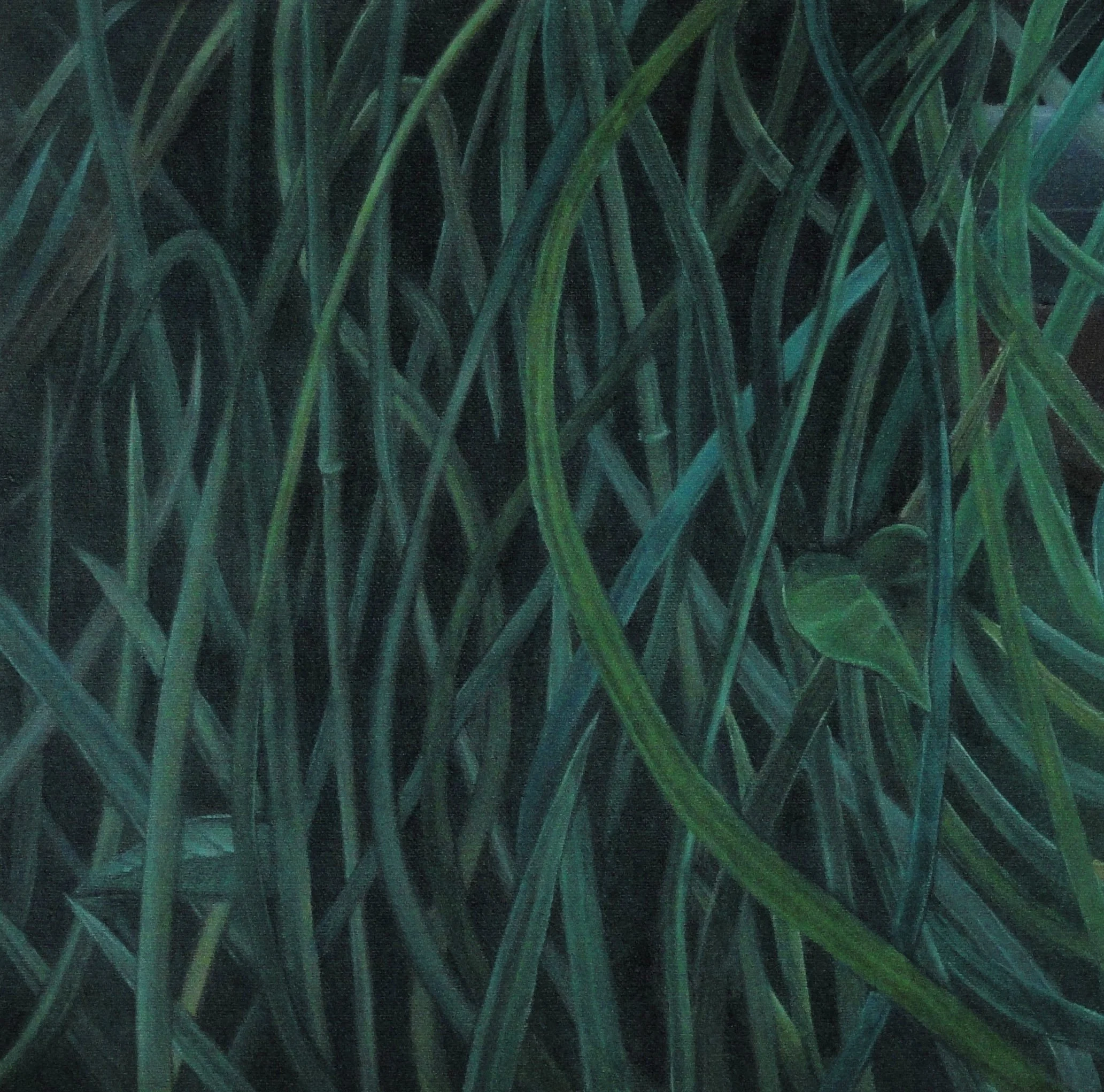 Close-up of green and dark green grass blades overlapping each other.