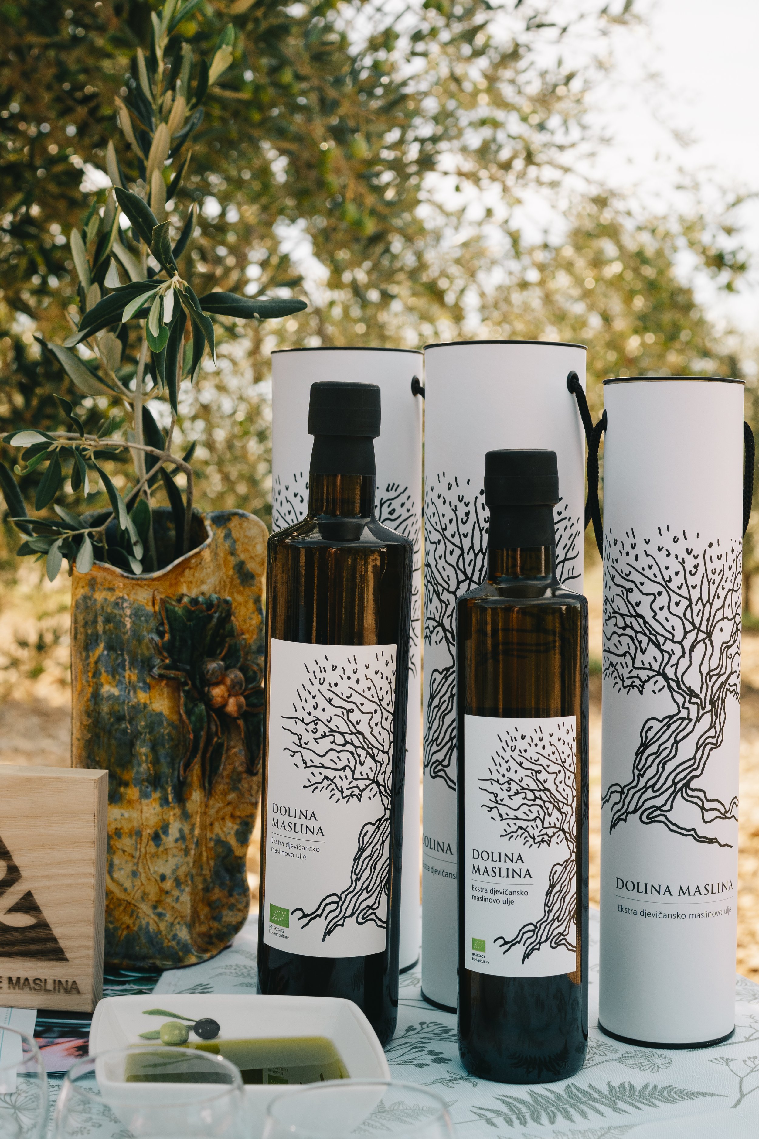 Various bottles of olive oil labeled 'Dolina Maslina' with a tree illustration, potted plant, and a dish with olives and olive oil on a patterned tablecloth.