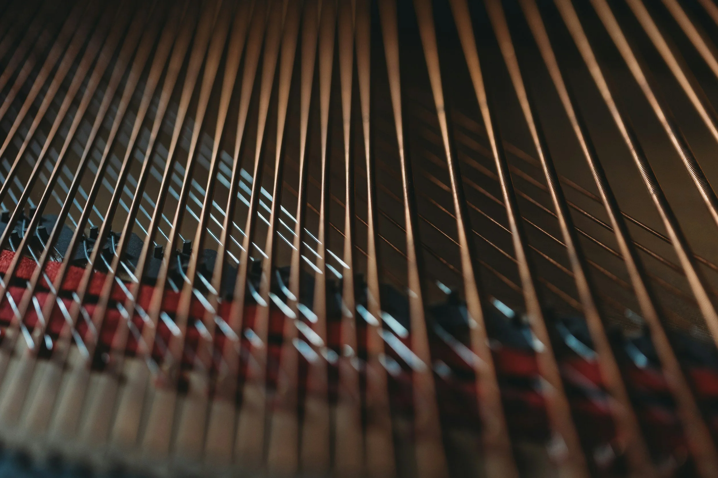 Close-up of piano strings and tuning pins inside a grand piano.
