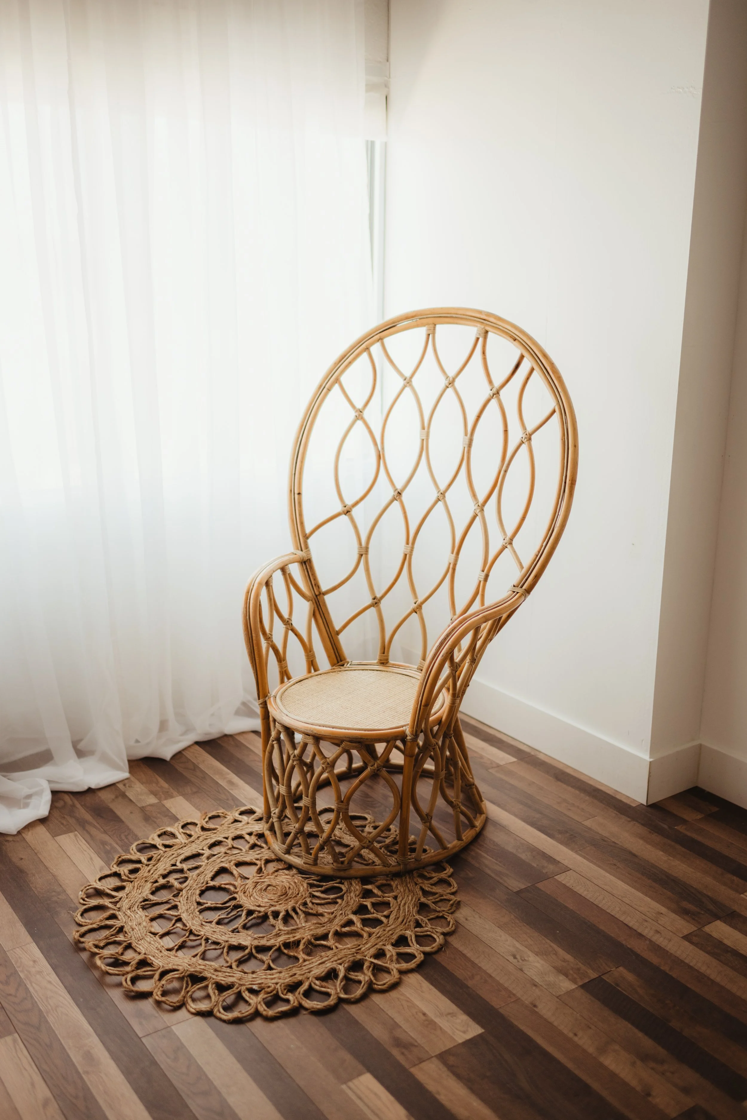 Peacock Chair
