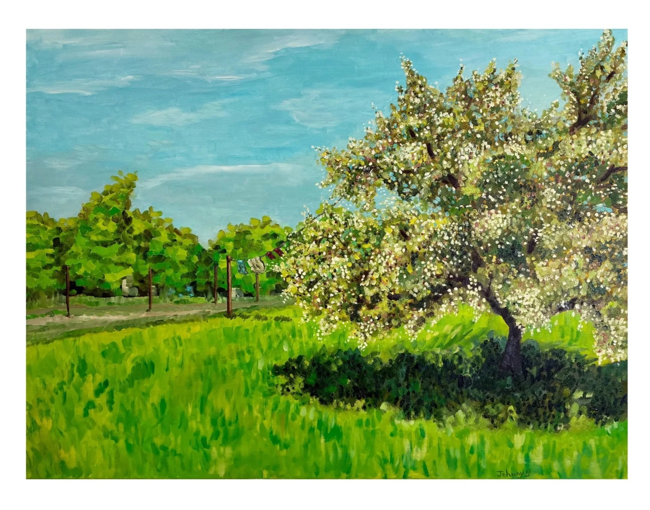 BloomingTree.%2524750.OilonCanvus.30x40.jpg