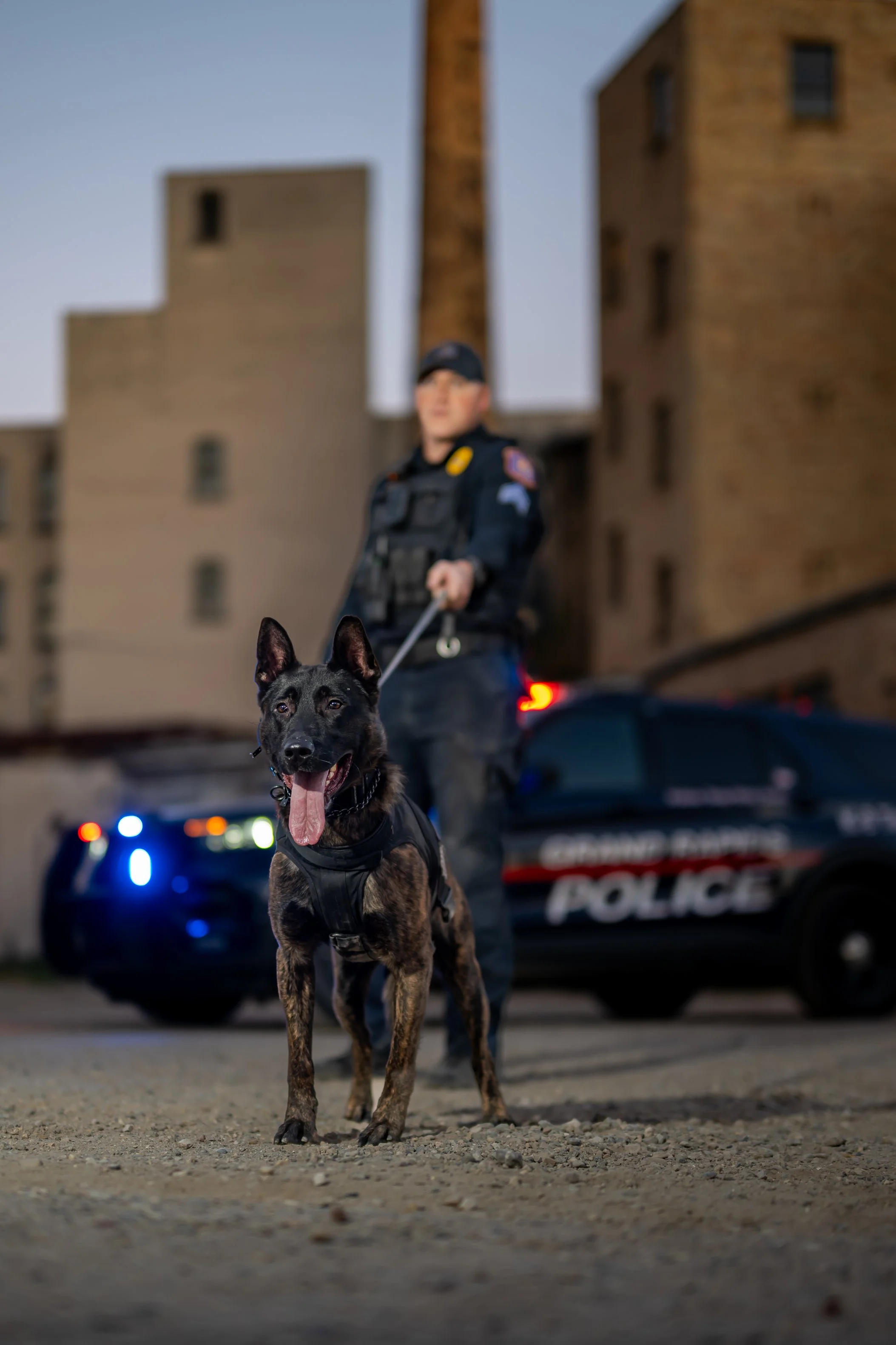 Global Working Dog Consortium-022.jpg