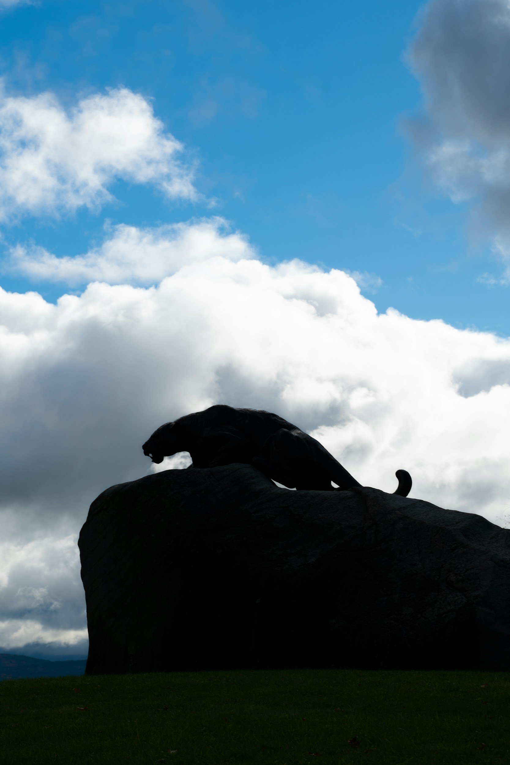 Silhouette of a large rock formation resembling an animal, possibly a lion, under a cloudy sky with patches of blue, with a grassy field in the foreground.