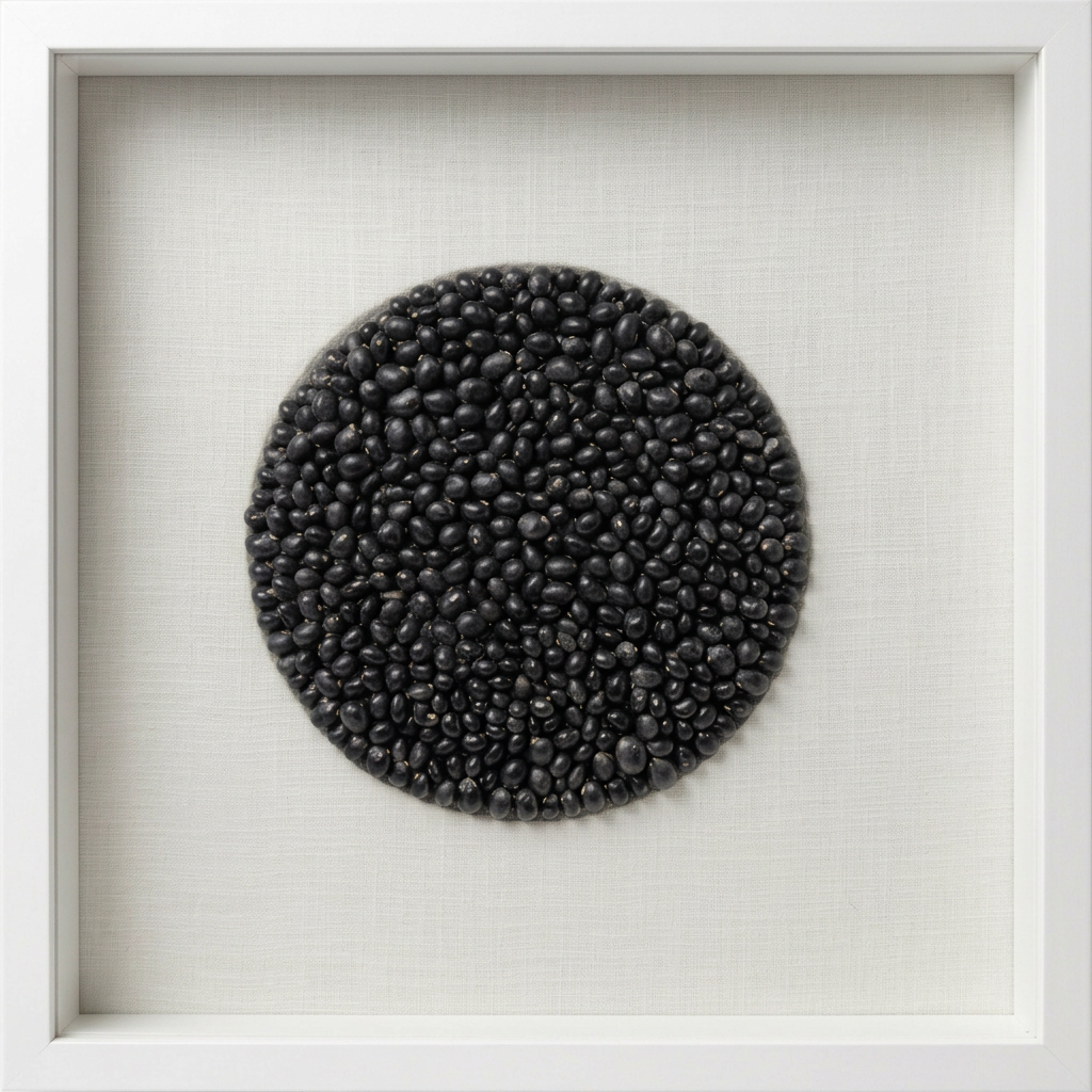 Two similar but distinct species of Victorian nerite shells are featured in this monochromatic, contemporary artwork created in Gippsland.