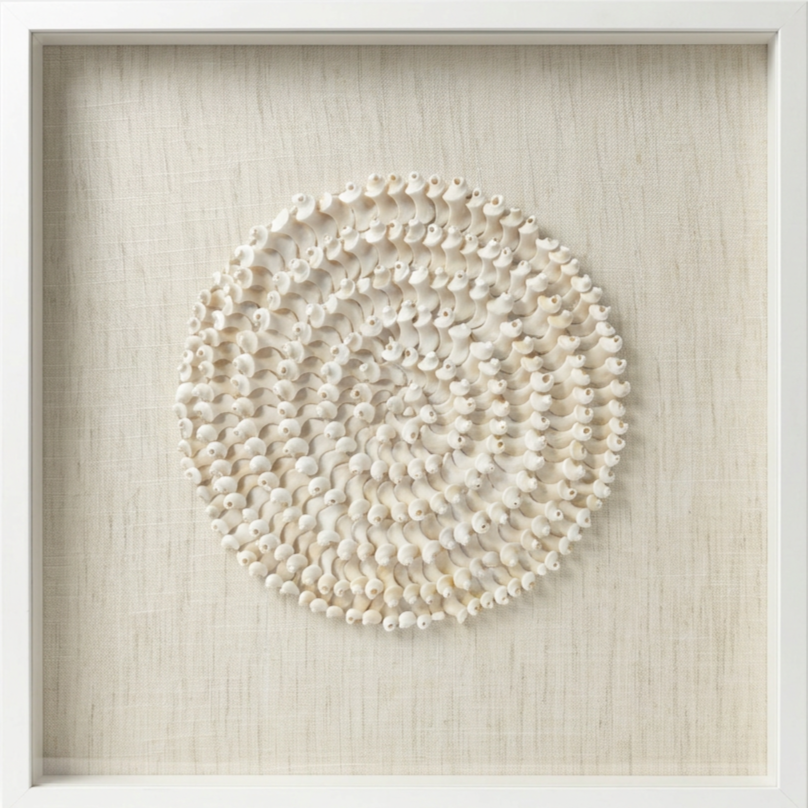 Stunning fine art piece created using the inner spirals of Australia's native Wavy Turban shell, found along many southern beaches in Australia.
