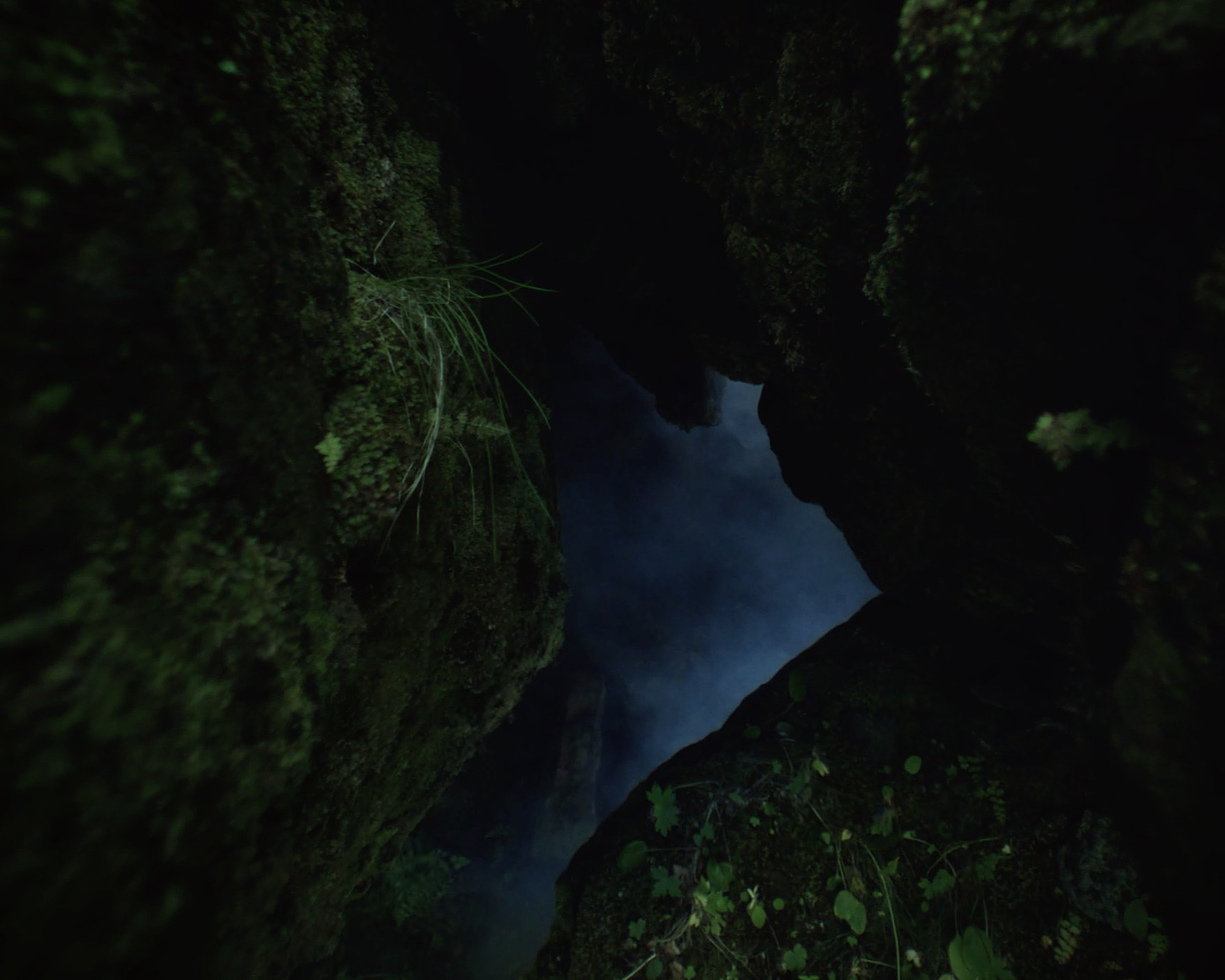 header-bg.png