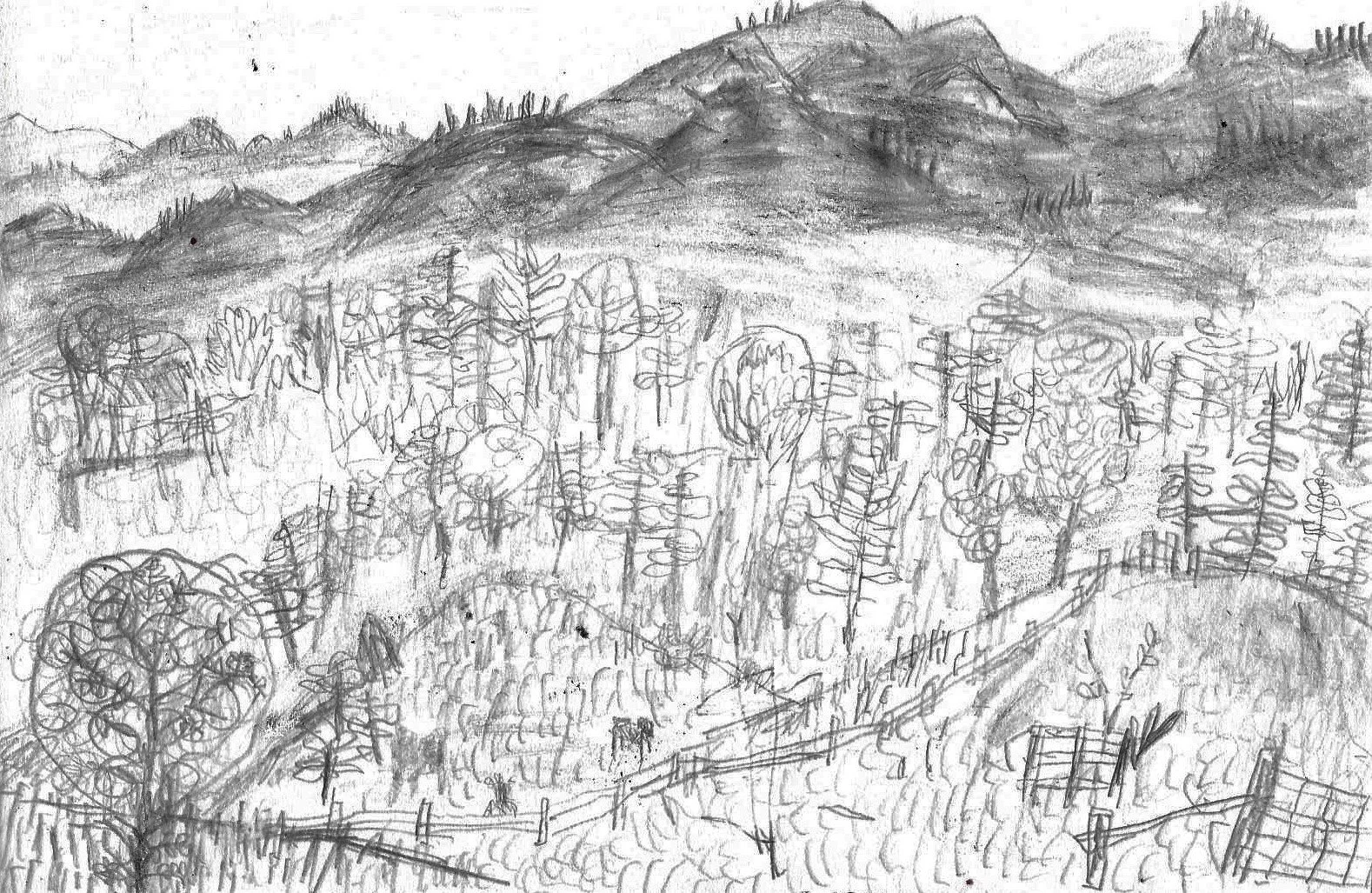 Landscape (2).jpg