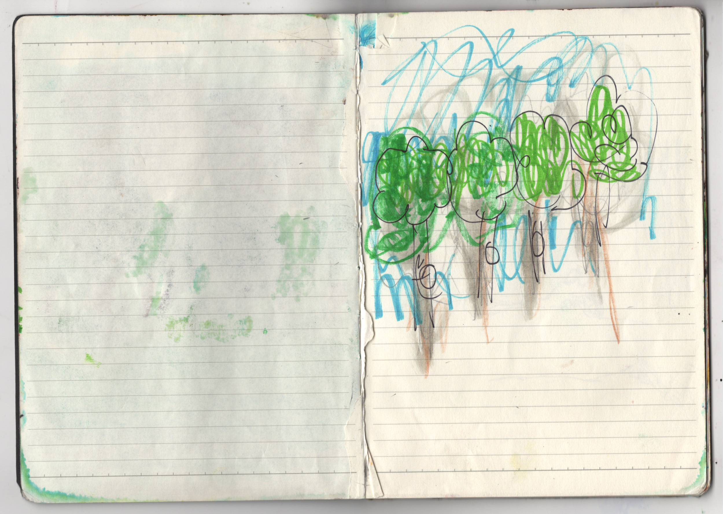 sketcbook 5.png