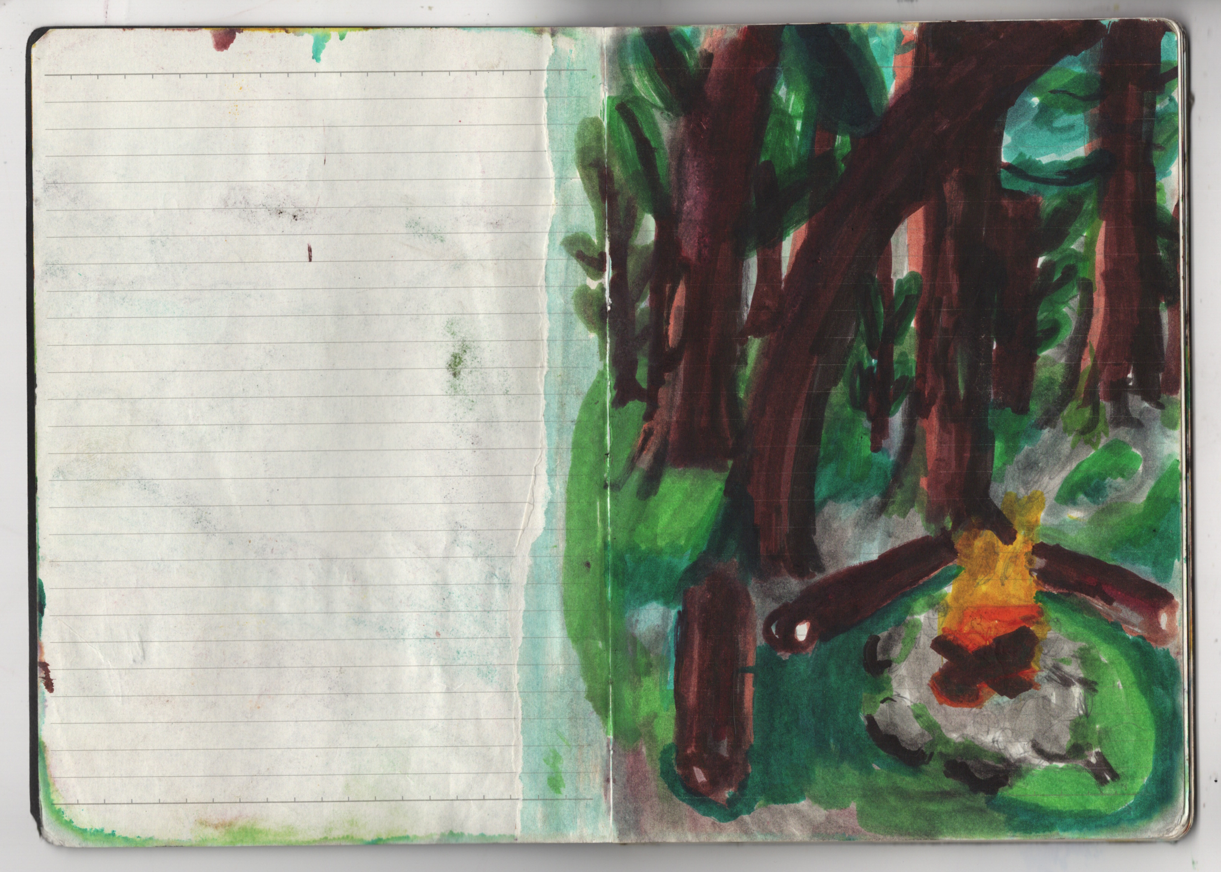 sketcbook 3.png