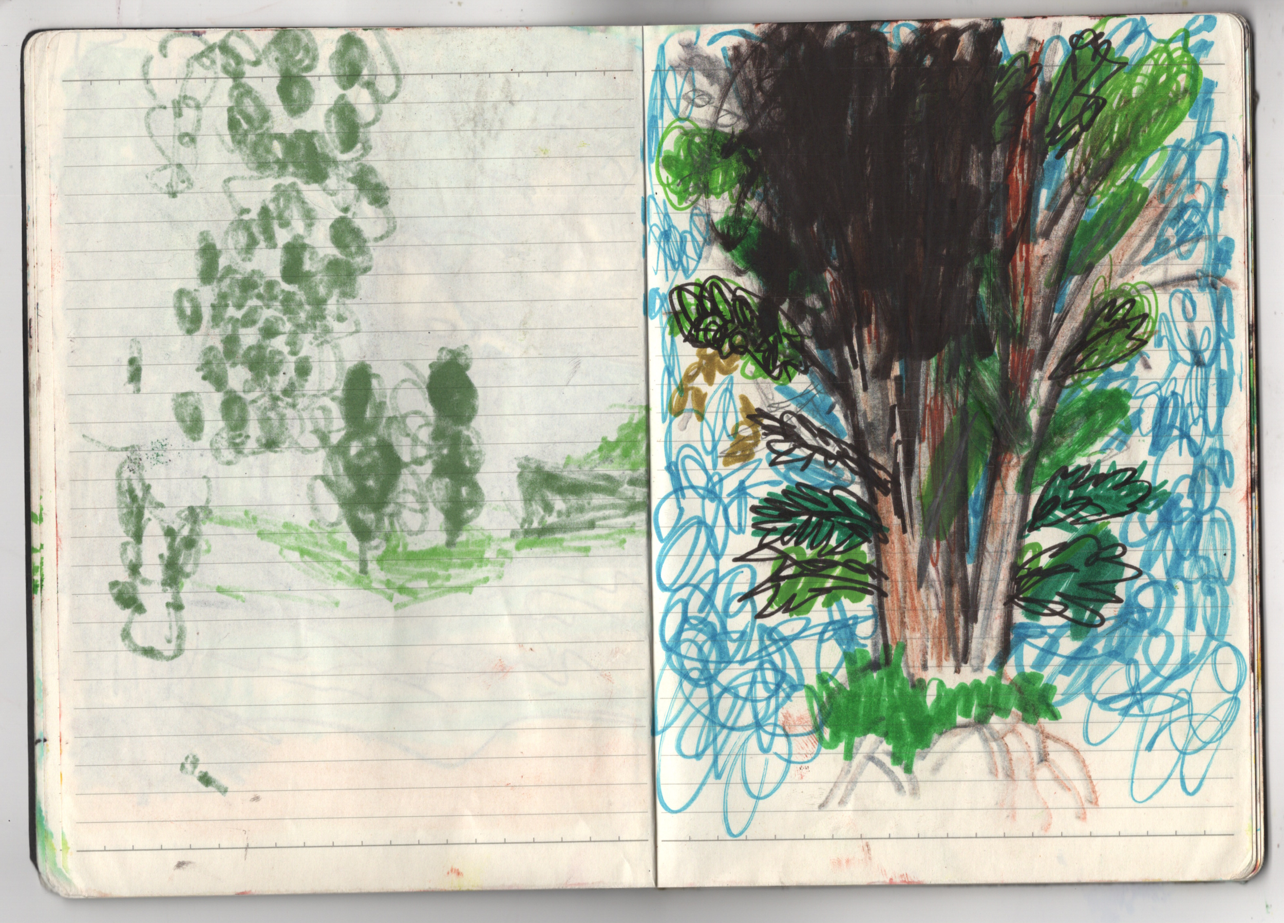 sketcbook 8.png