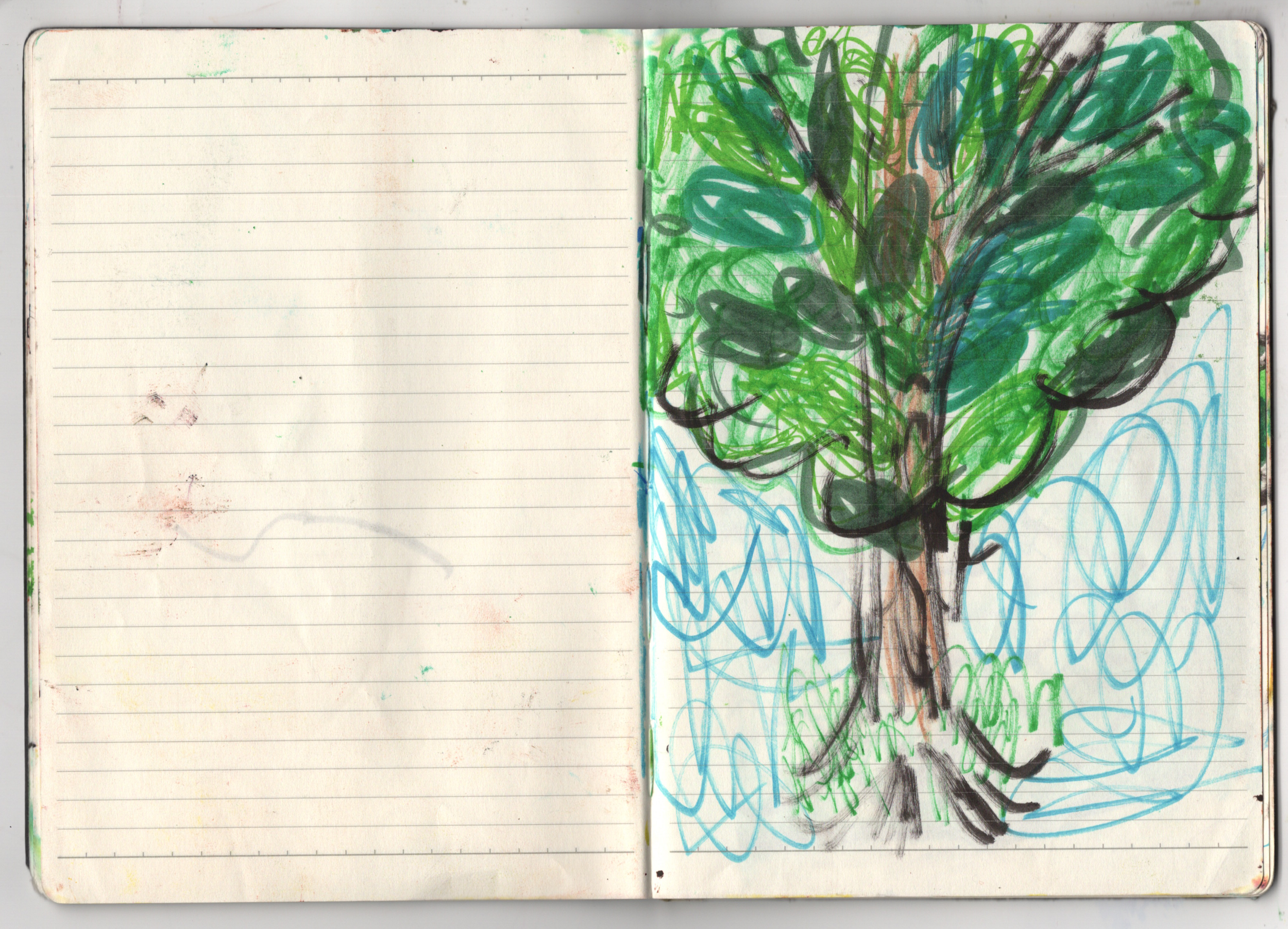 sketcbook 9.png