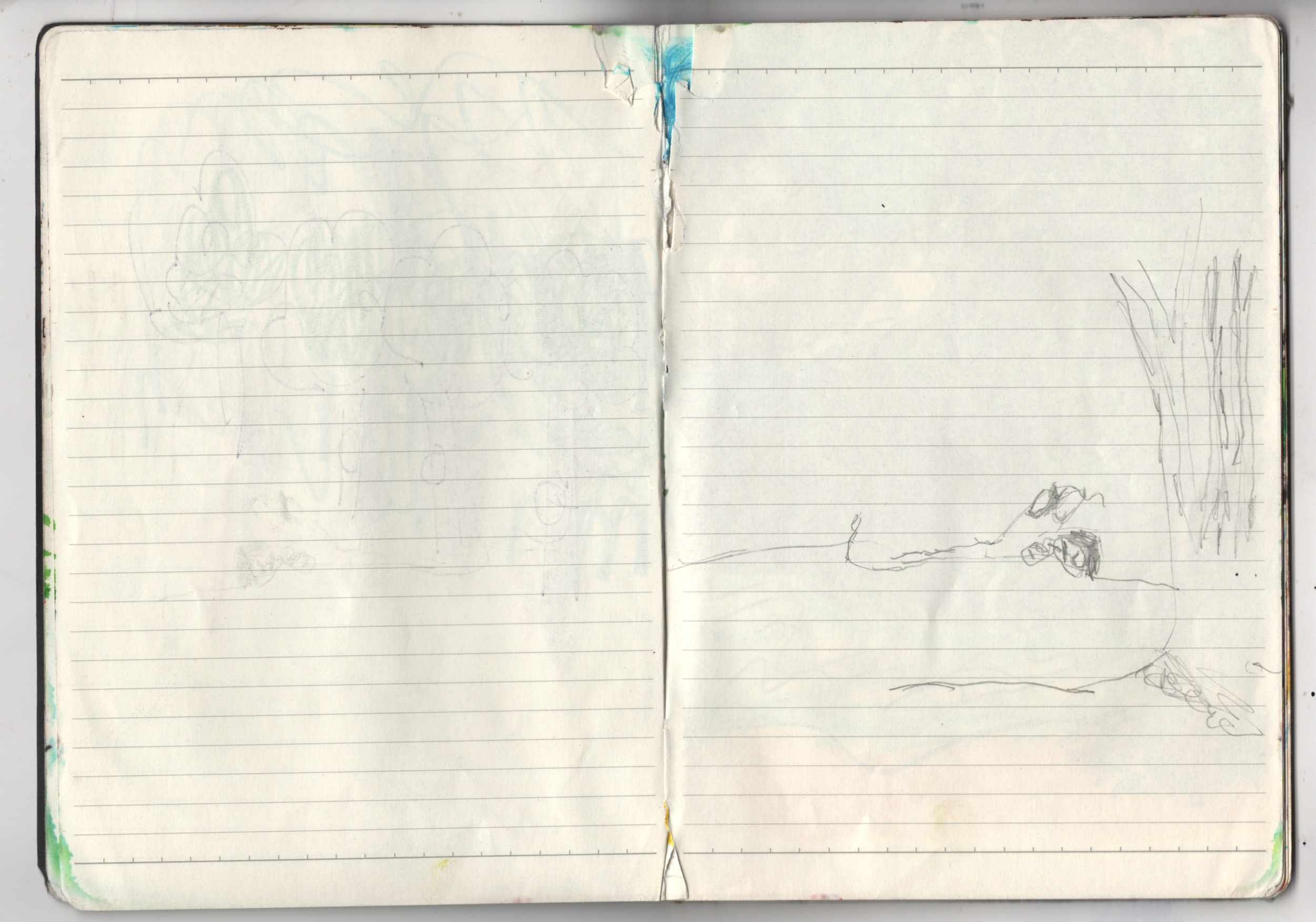 sketcbook 6.png