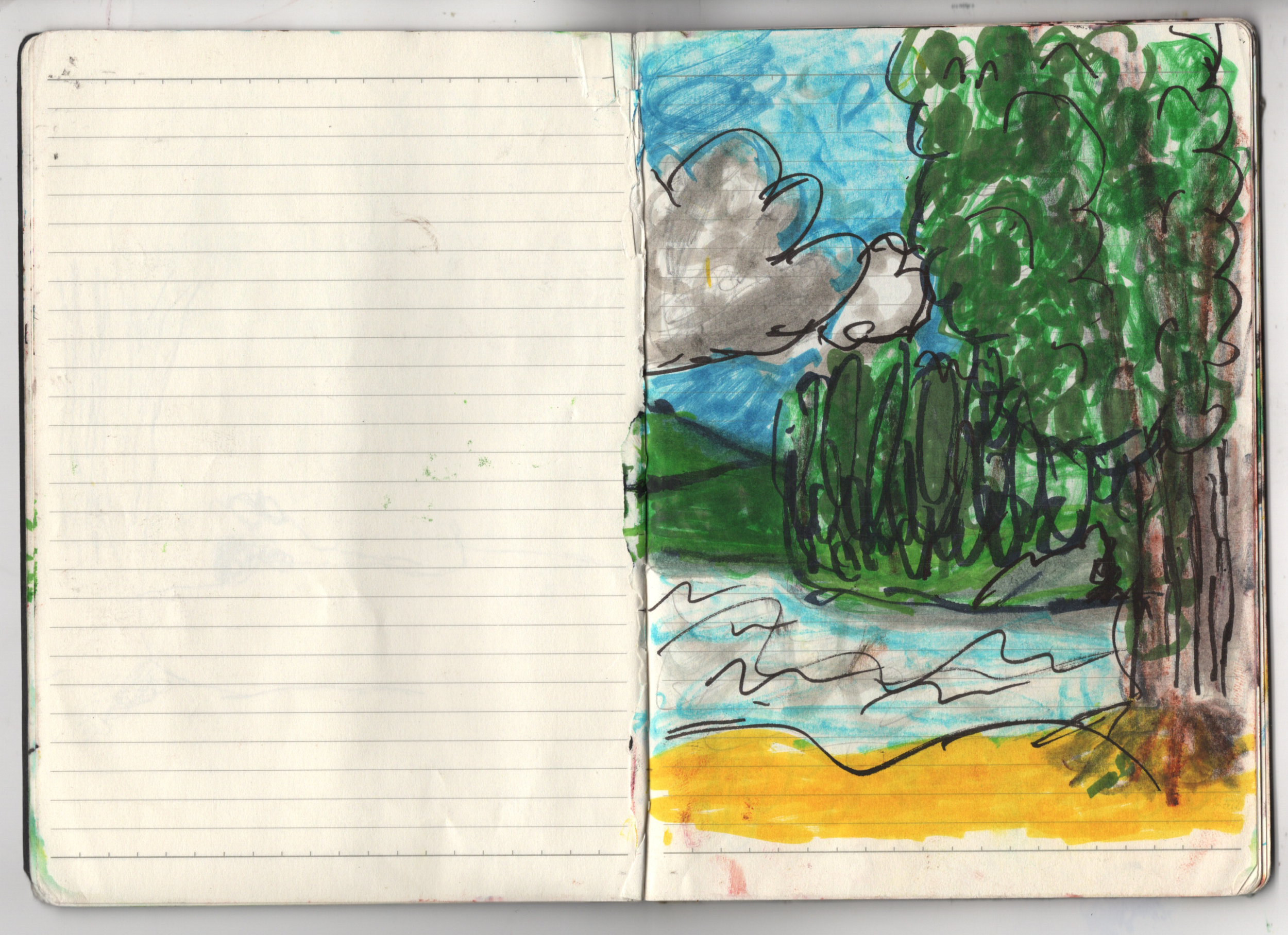sketcbook 7.png