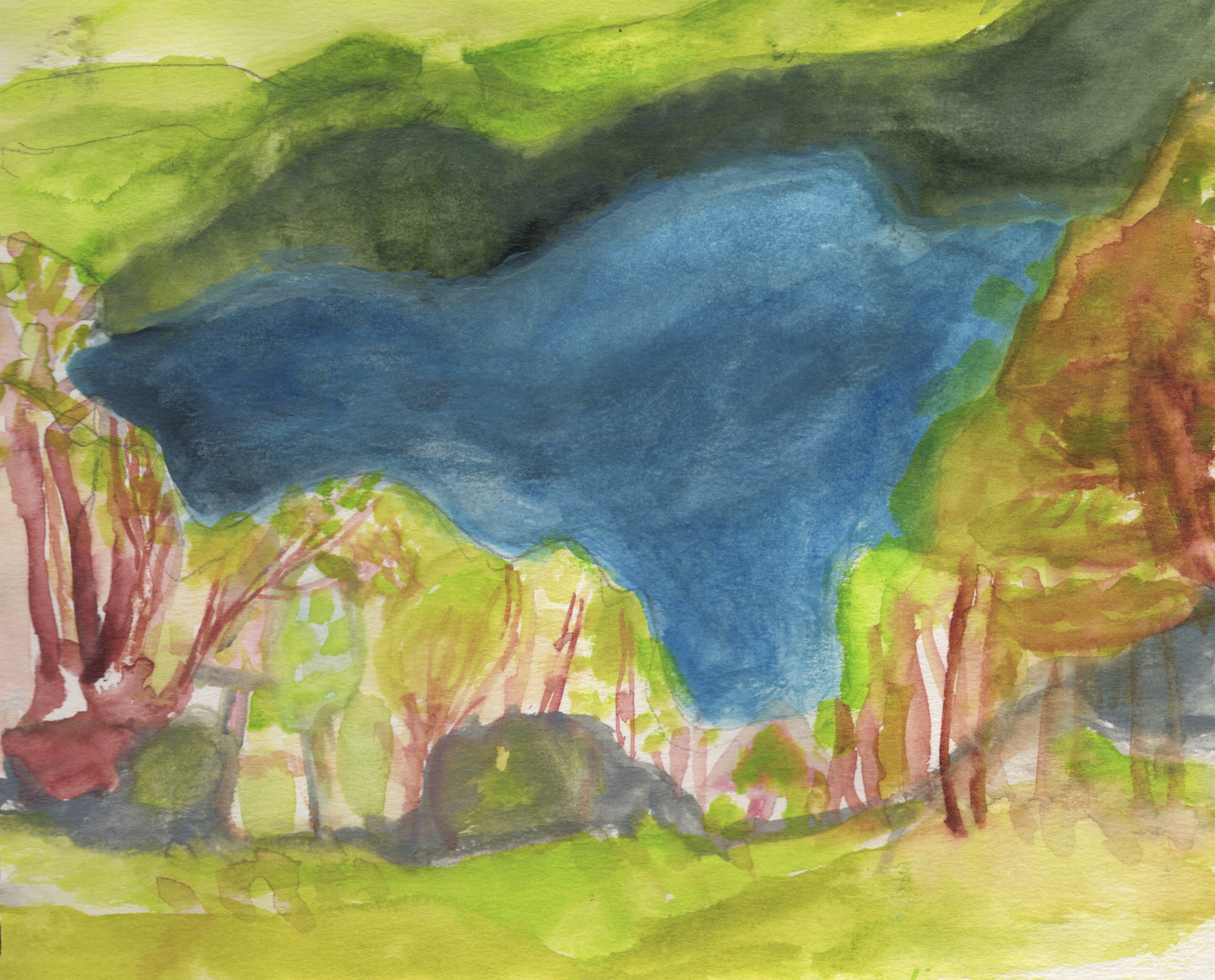 Nature