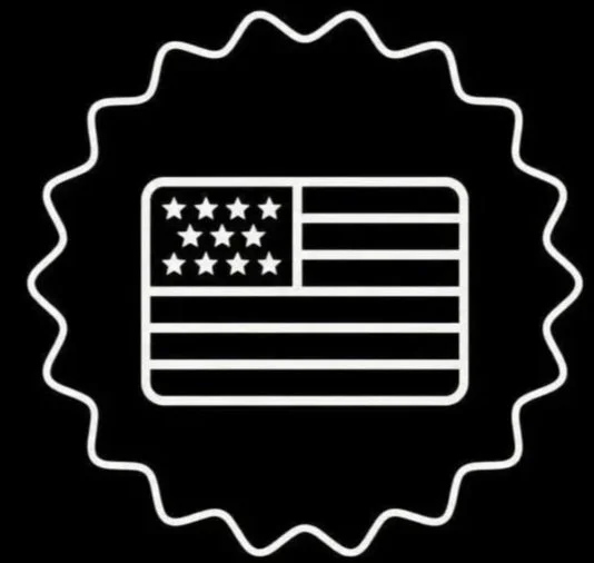 White outline of a waving American flag inside a white scalloped circle on a black background.