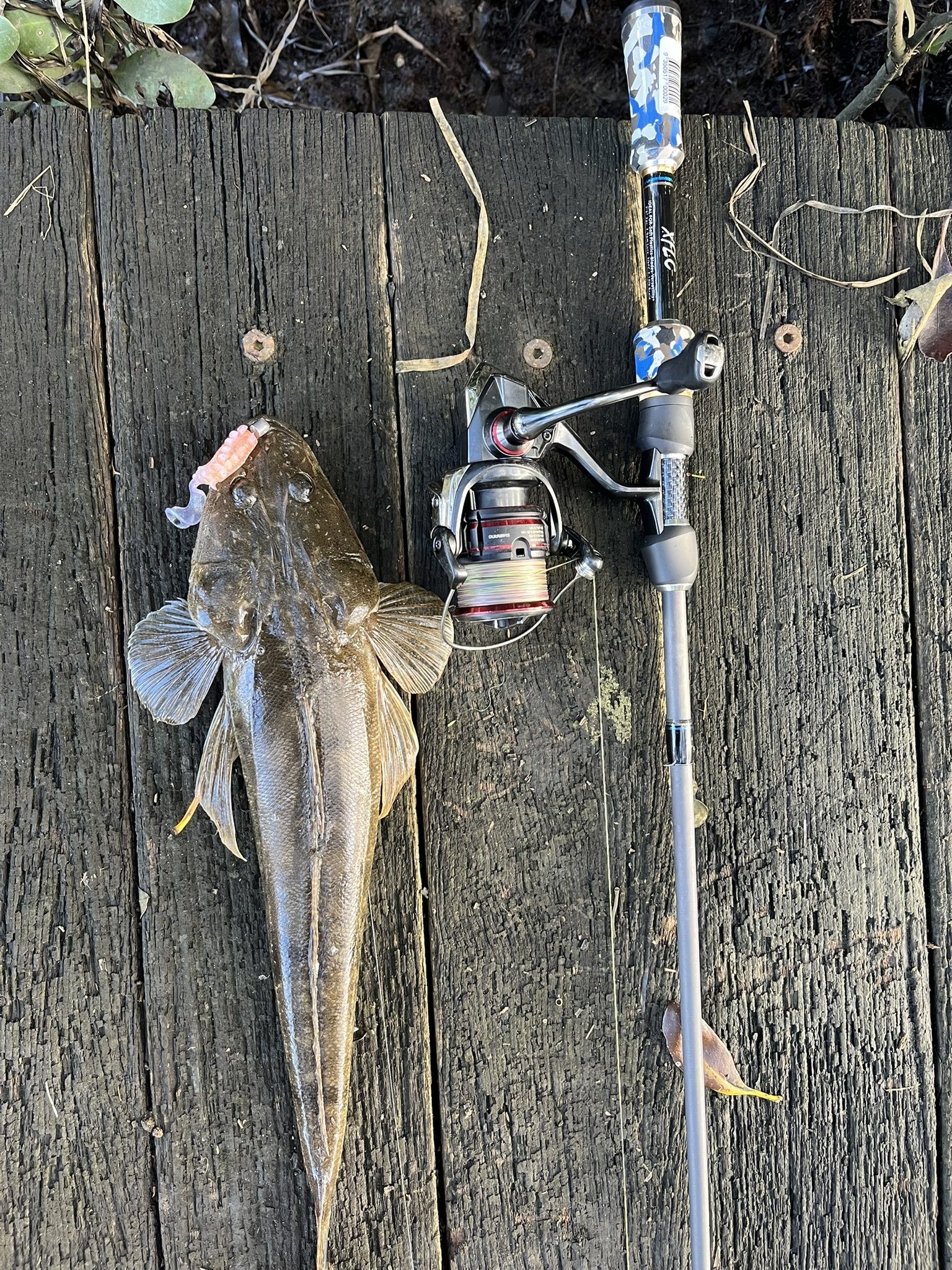 BEGINNER FISHING