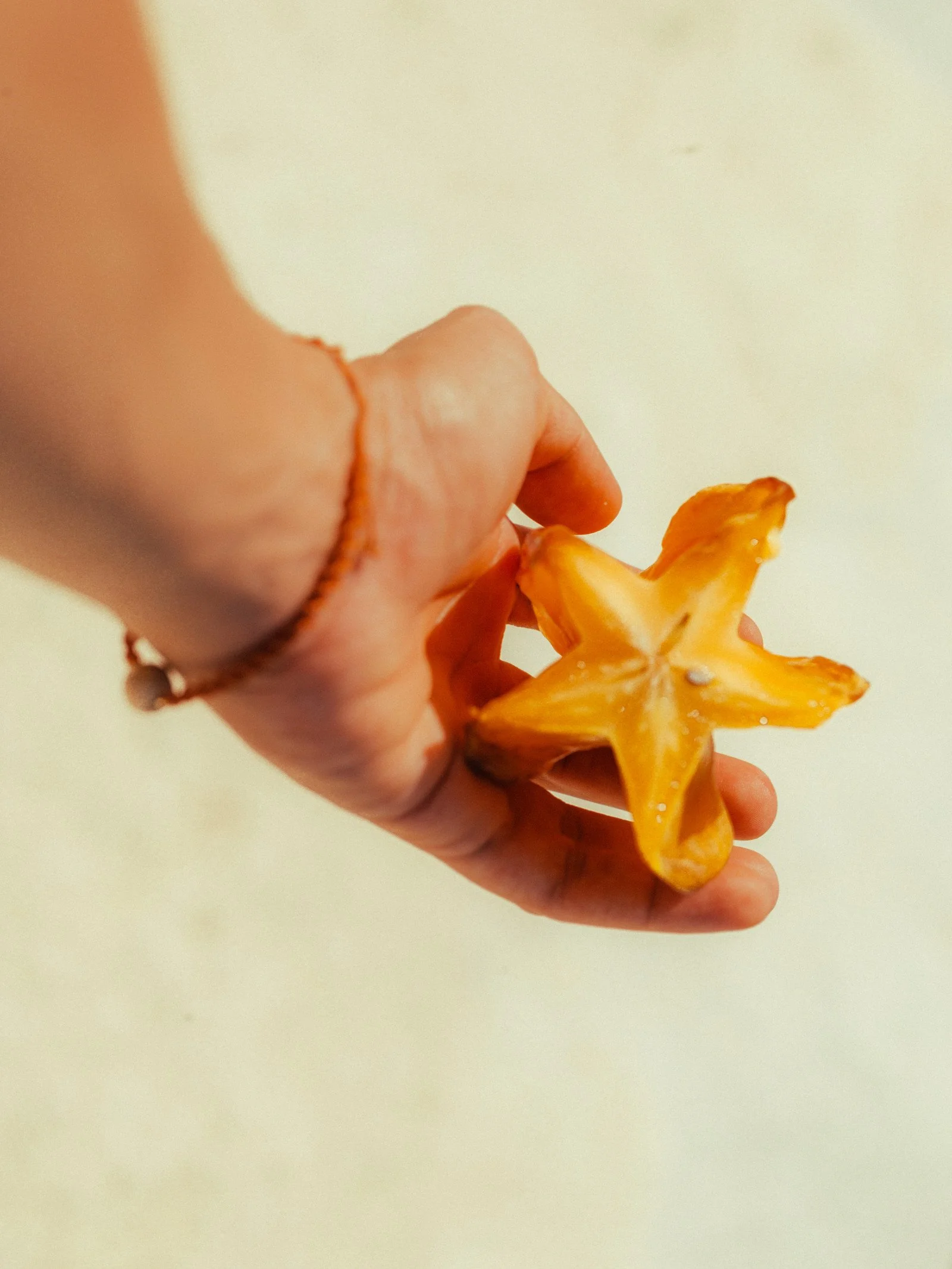 Close-up of a hand holding a star-shaped orange flower or fruit against a plain, off-white background.