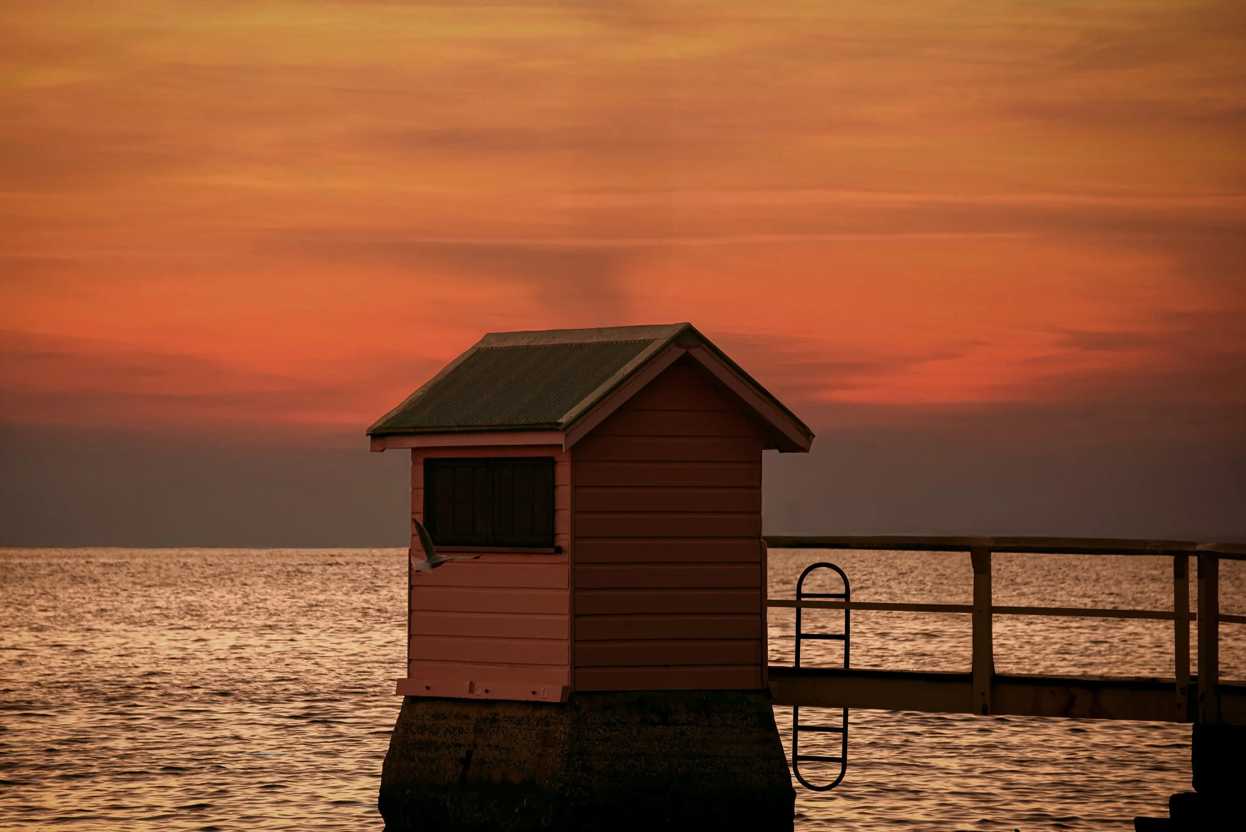 DSC_8641.jpg