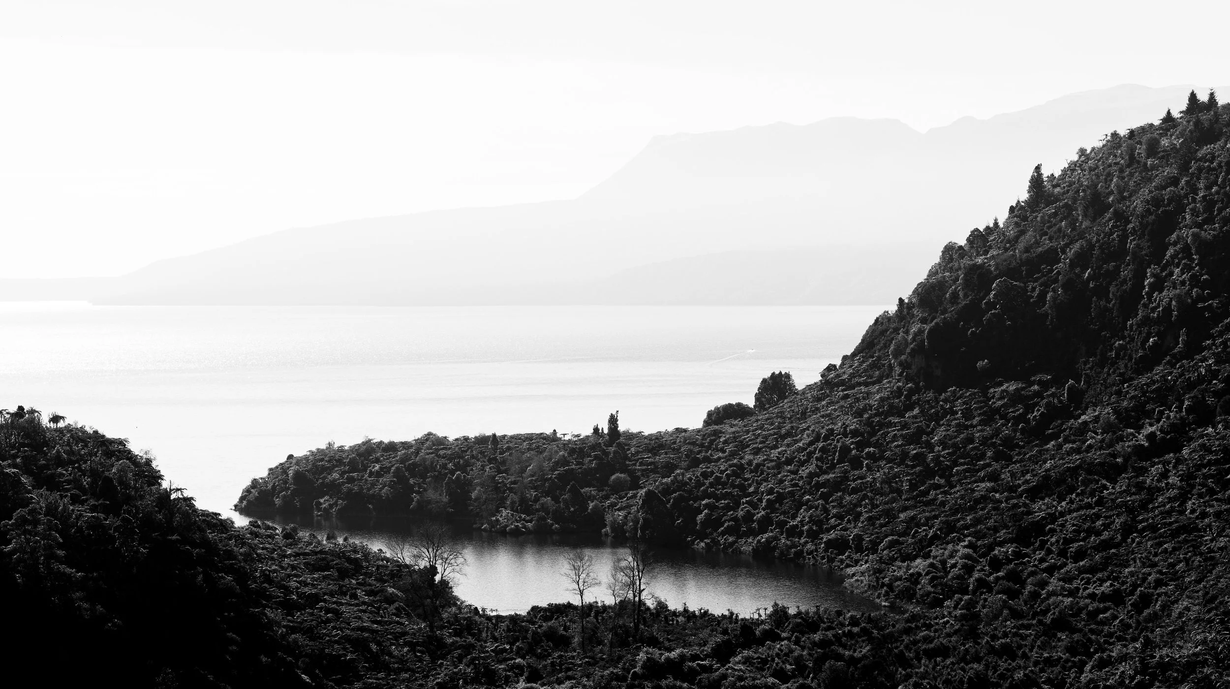 NATURE & TRAVEL