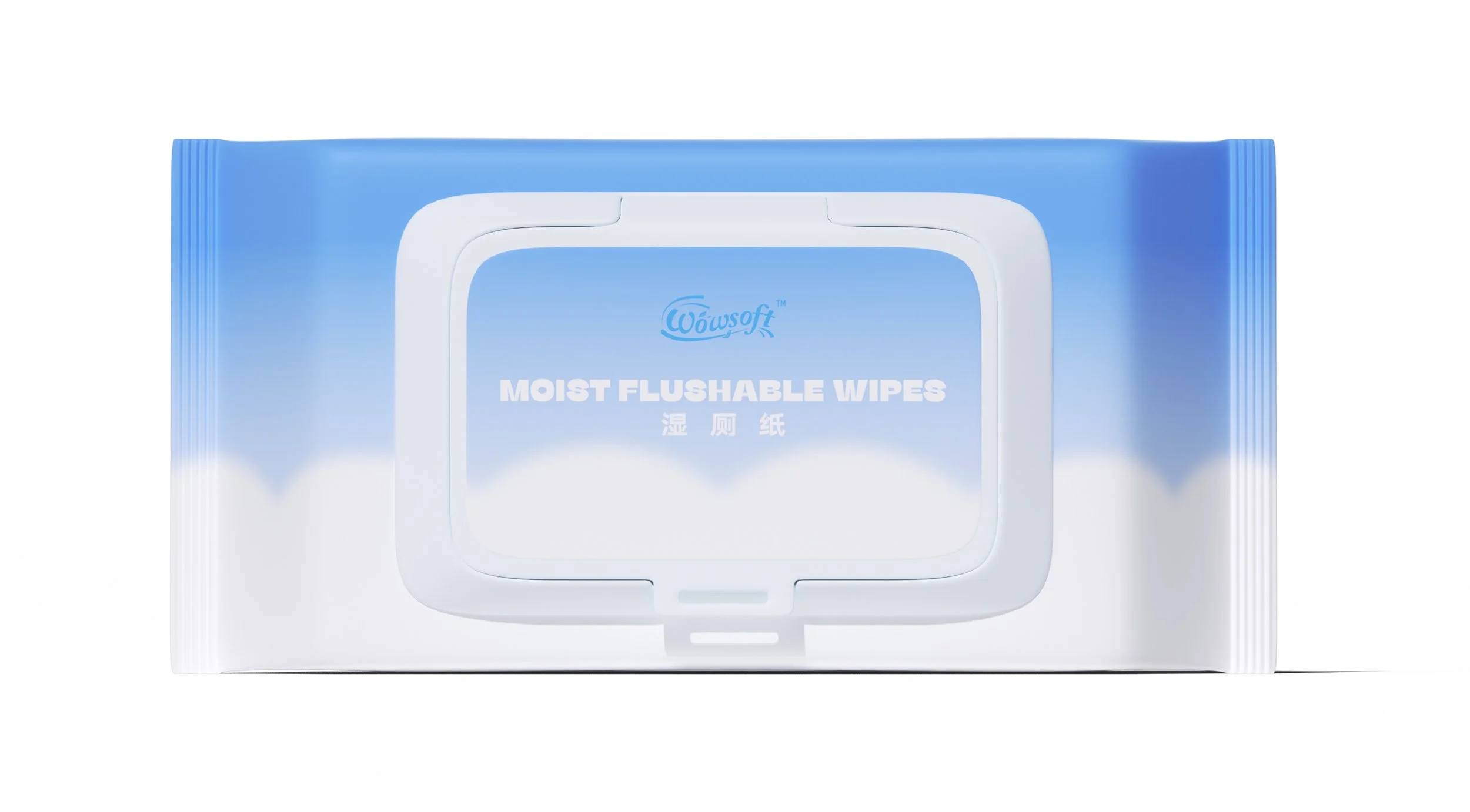 Complete front-facing pack of WOWSOFT Moist Flushable Wipes