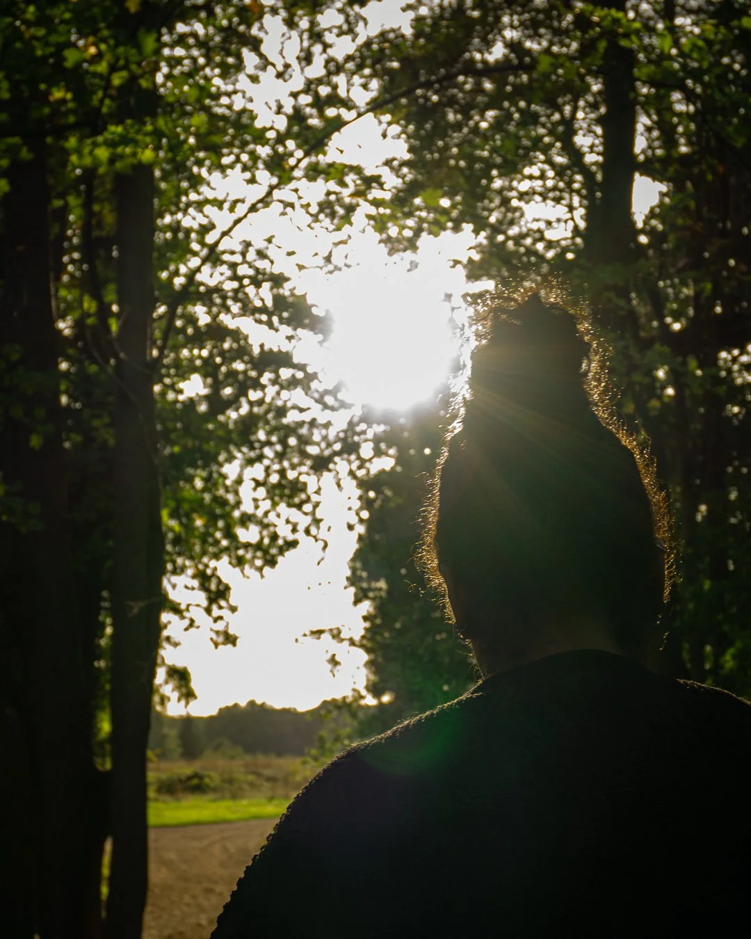 A person with curly hair standing outdoors surrounded by trees, backlit by the sun shining through the leaves.