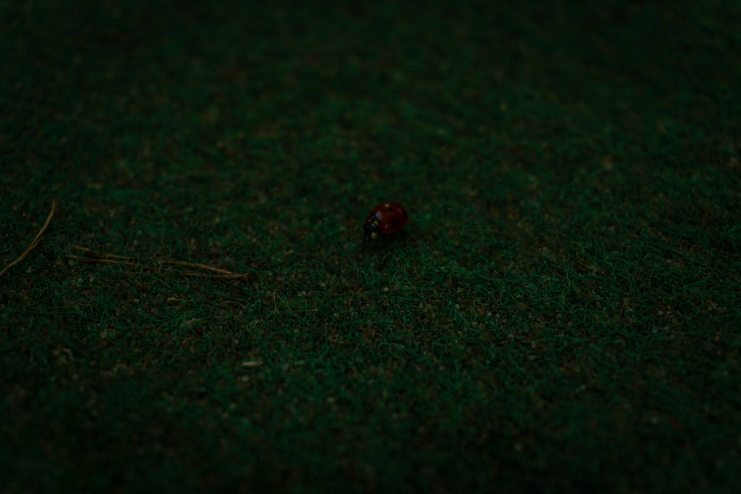 Tiny World