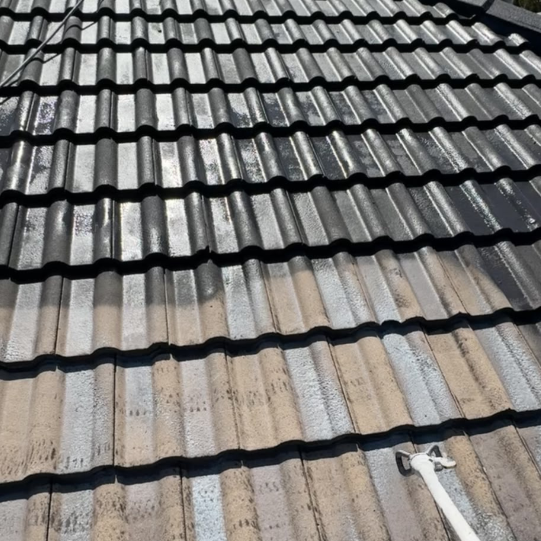 Roof Painting