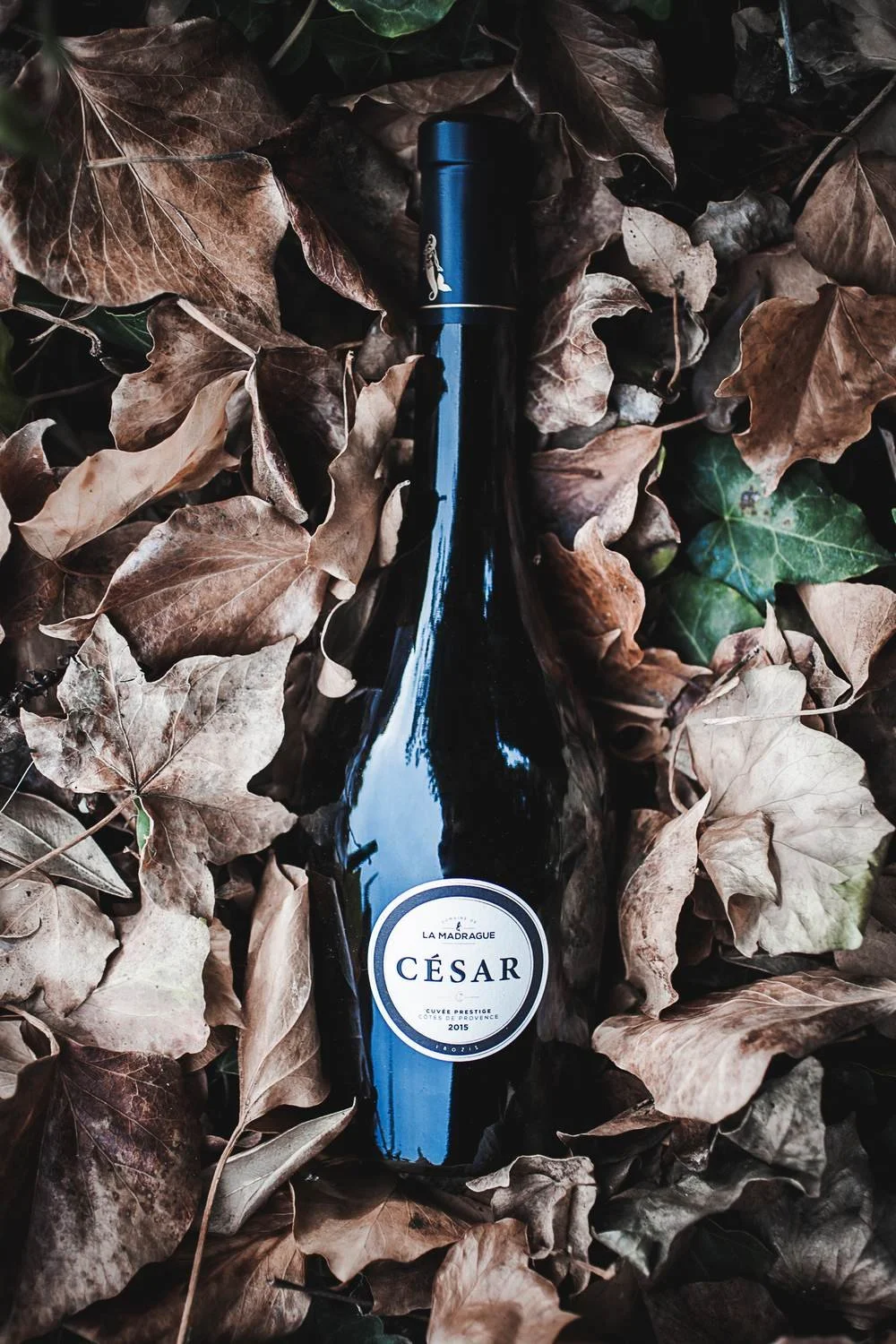 Une bouteille de vin noir, posée sur des feuilles d'automne brunes et vertes.