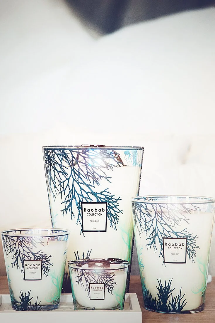 Quatre verres et un vase en verre affichant un motif de branches d'arbre, avec une étiquette indiquant la collection Baobab.