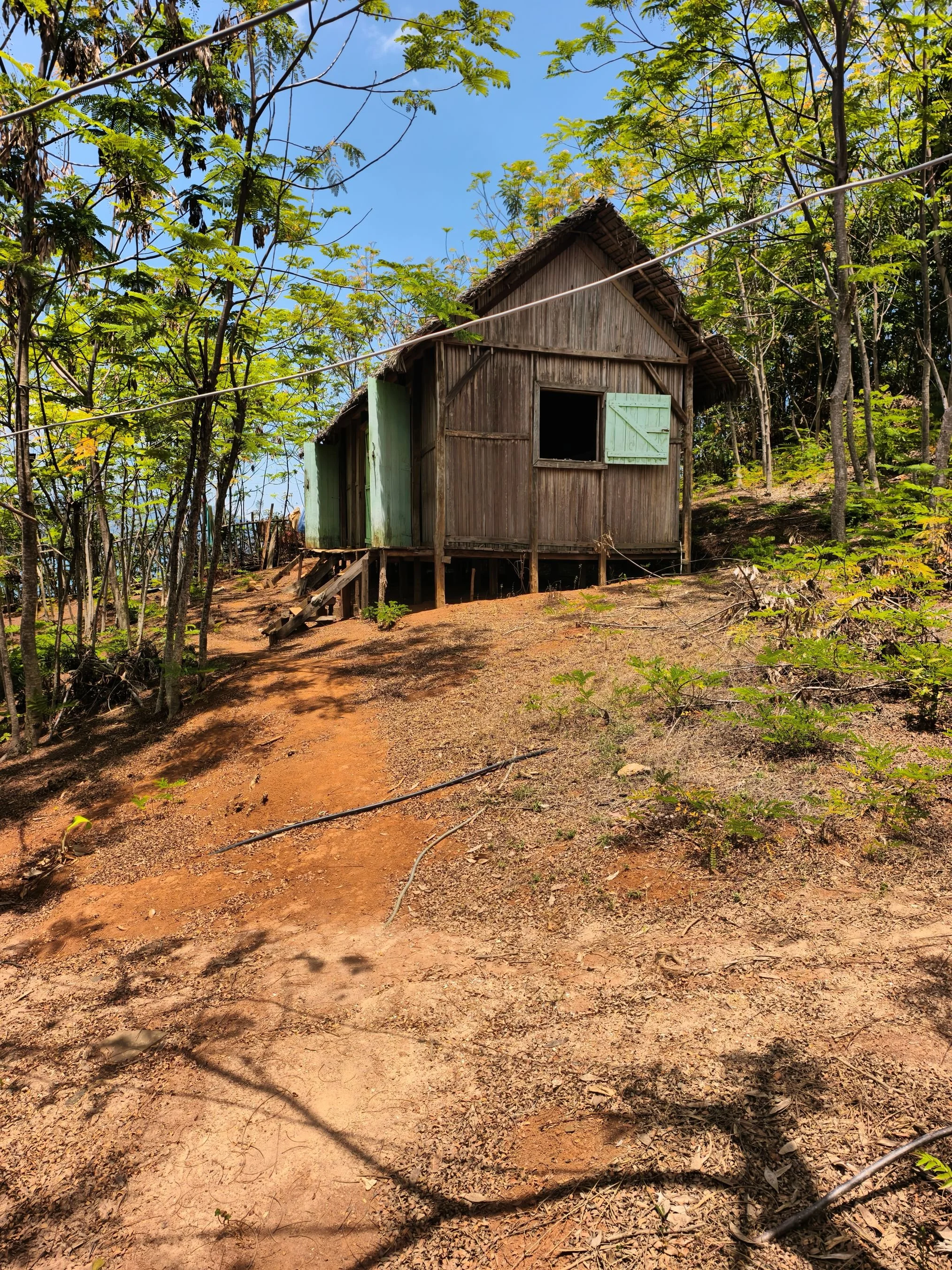 A rustic wooden house on stilts surrounded by trees and dry ground under a clear blue sky.