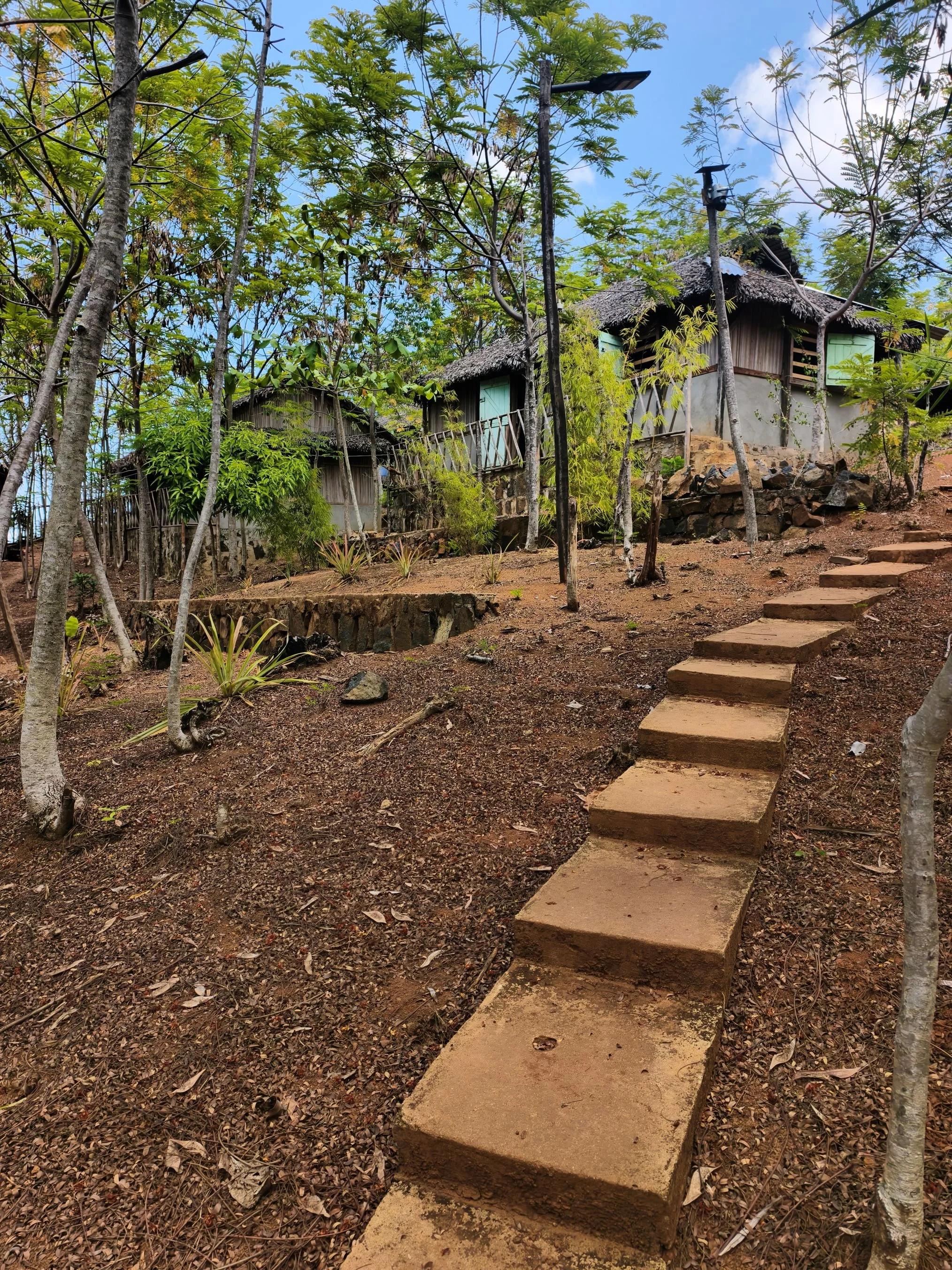 A dirt pathway with stone steps leading uphill through a wooded area with trees, plants, and small houses with thatched roofs and light-colored walls.