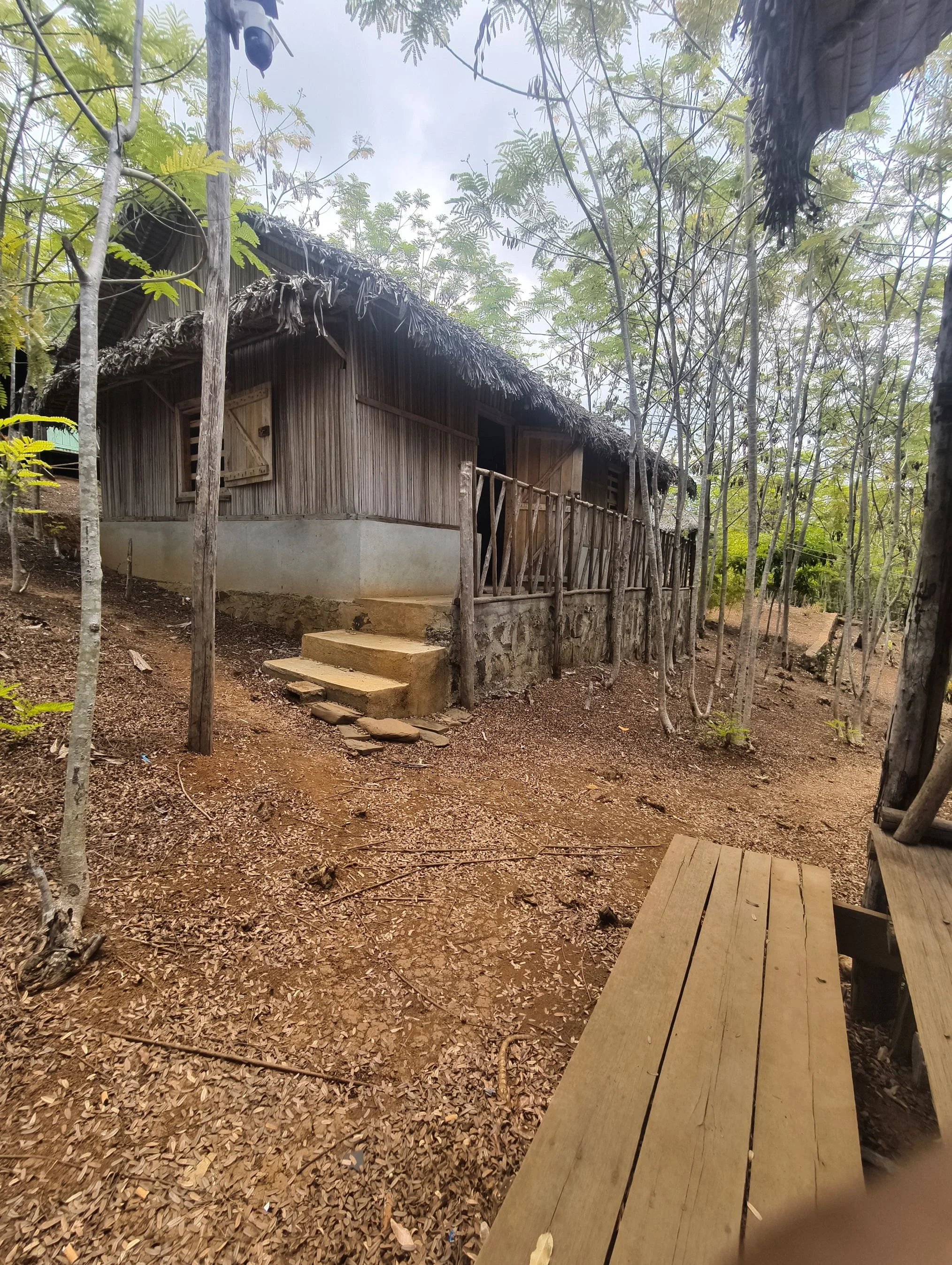 A rustic wooden house with a thatched roof, surrounded by trees and dirt ground, with a wooden pathway leading to the entrance.