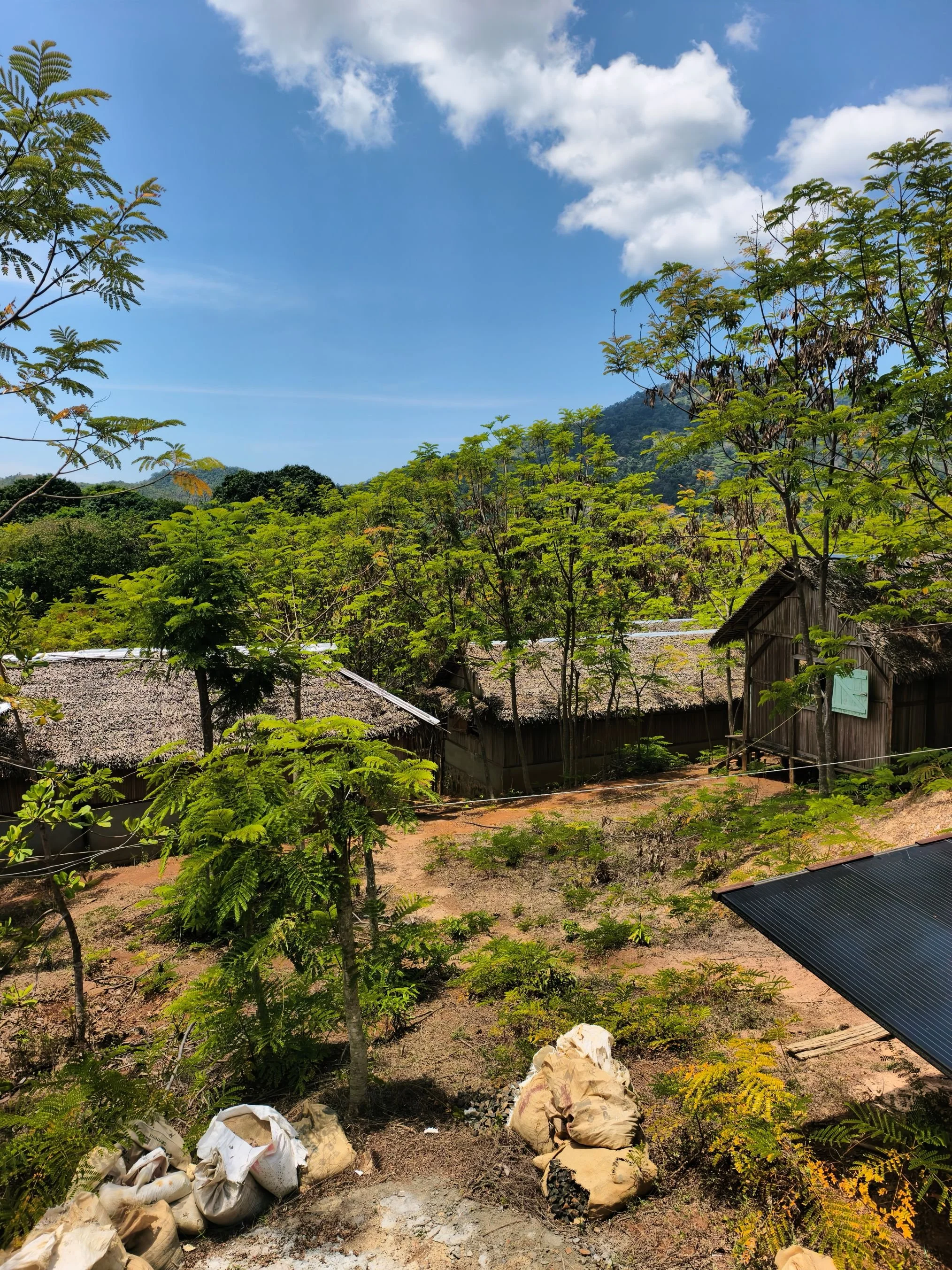 Lush green trees and foliage under a bright blue sky with some white clouds, village houses with thatched roofs, and several bags of trash on the ground.