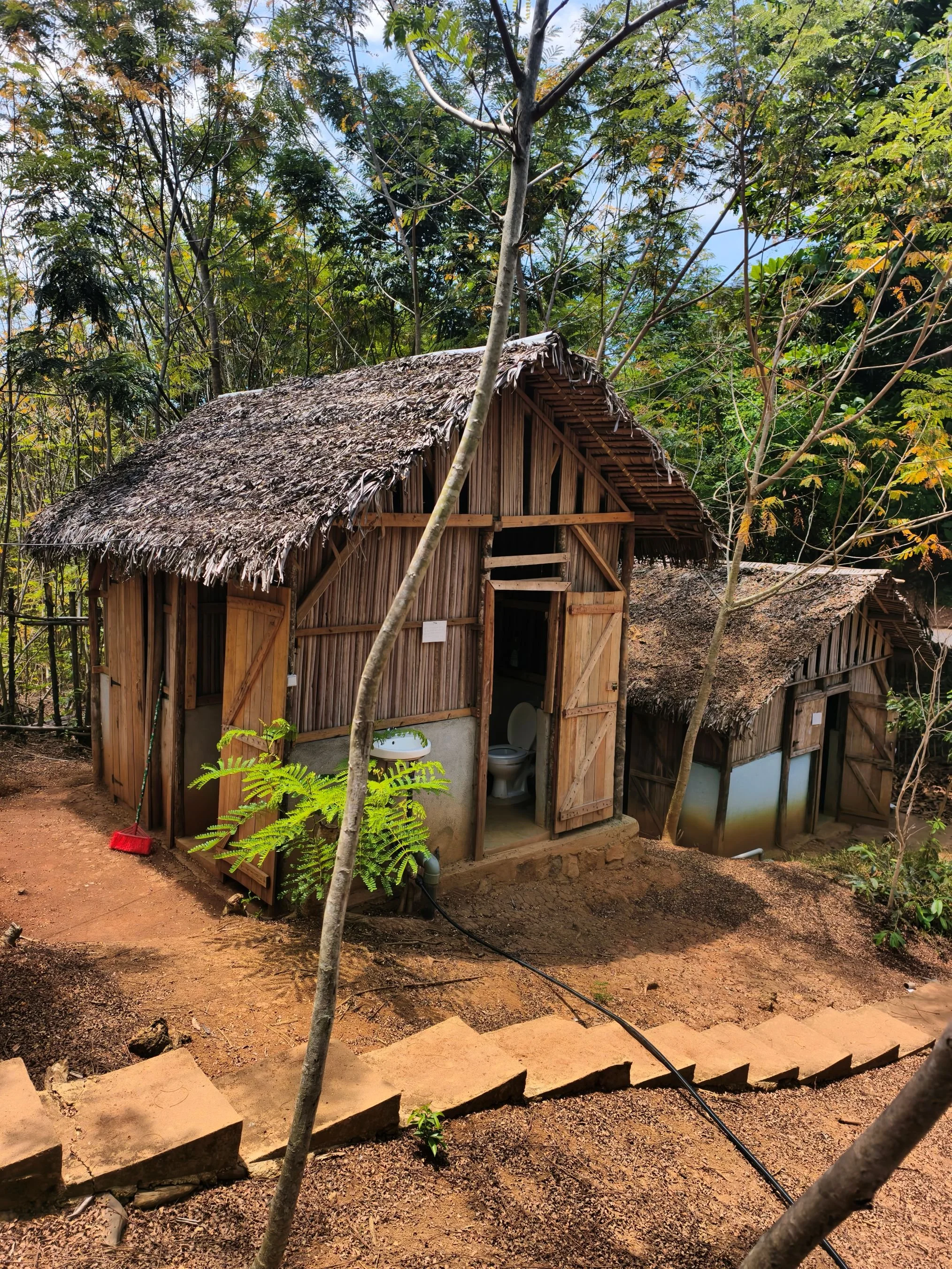 Two small huts made of bamboo with thatched roofs surrounded by trees, with a dirt path in the foreground.