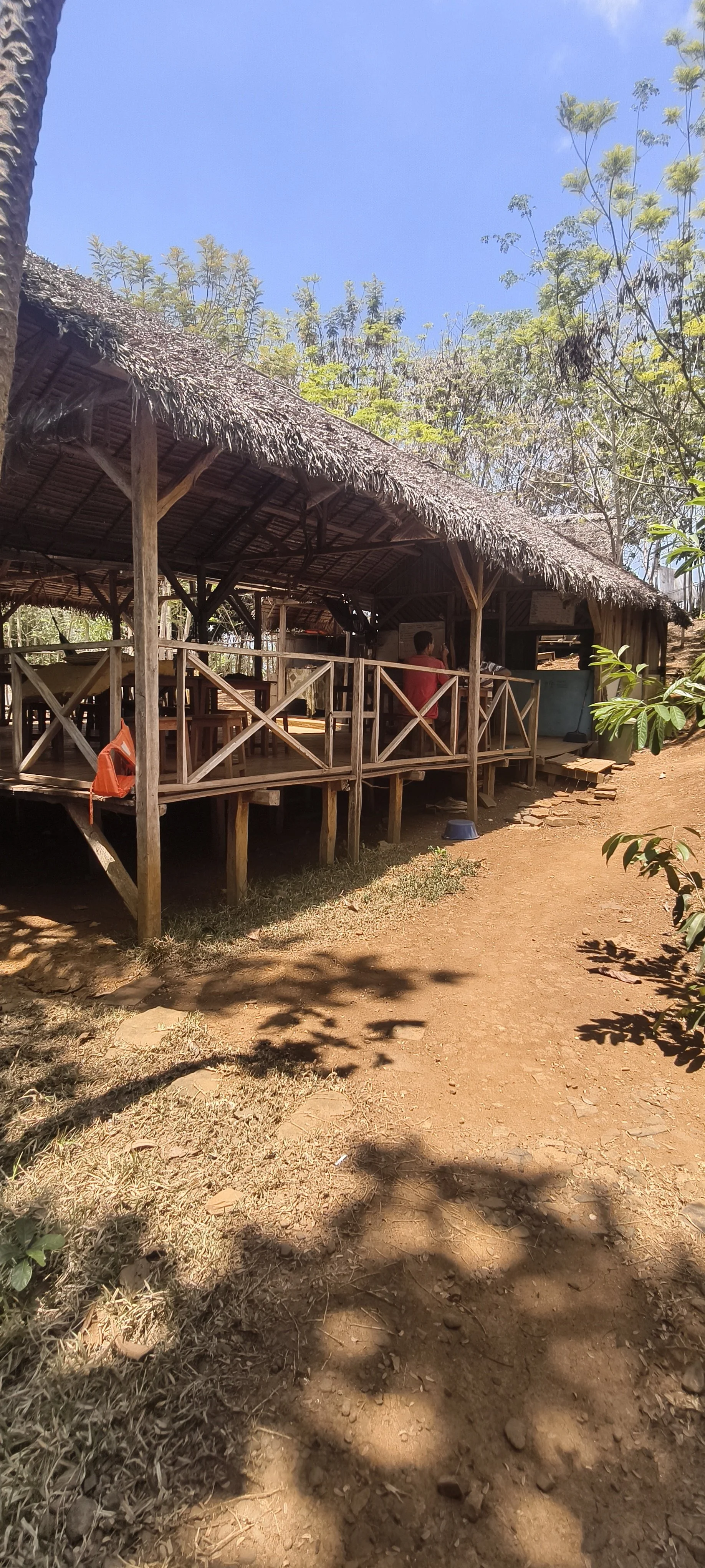 A rustic wooden hut with a thatched roof in a natural outdoor setting, surrounded by trees with green foliage, on a sunny day with clear blue sky.