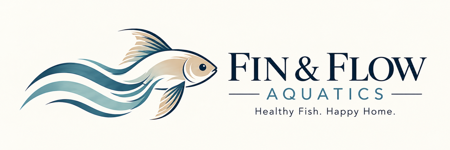 Fin &amp; Flow Aquatics