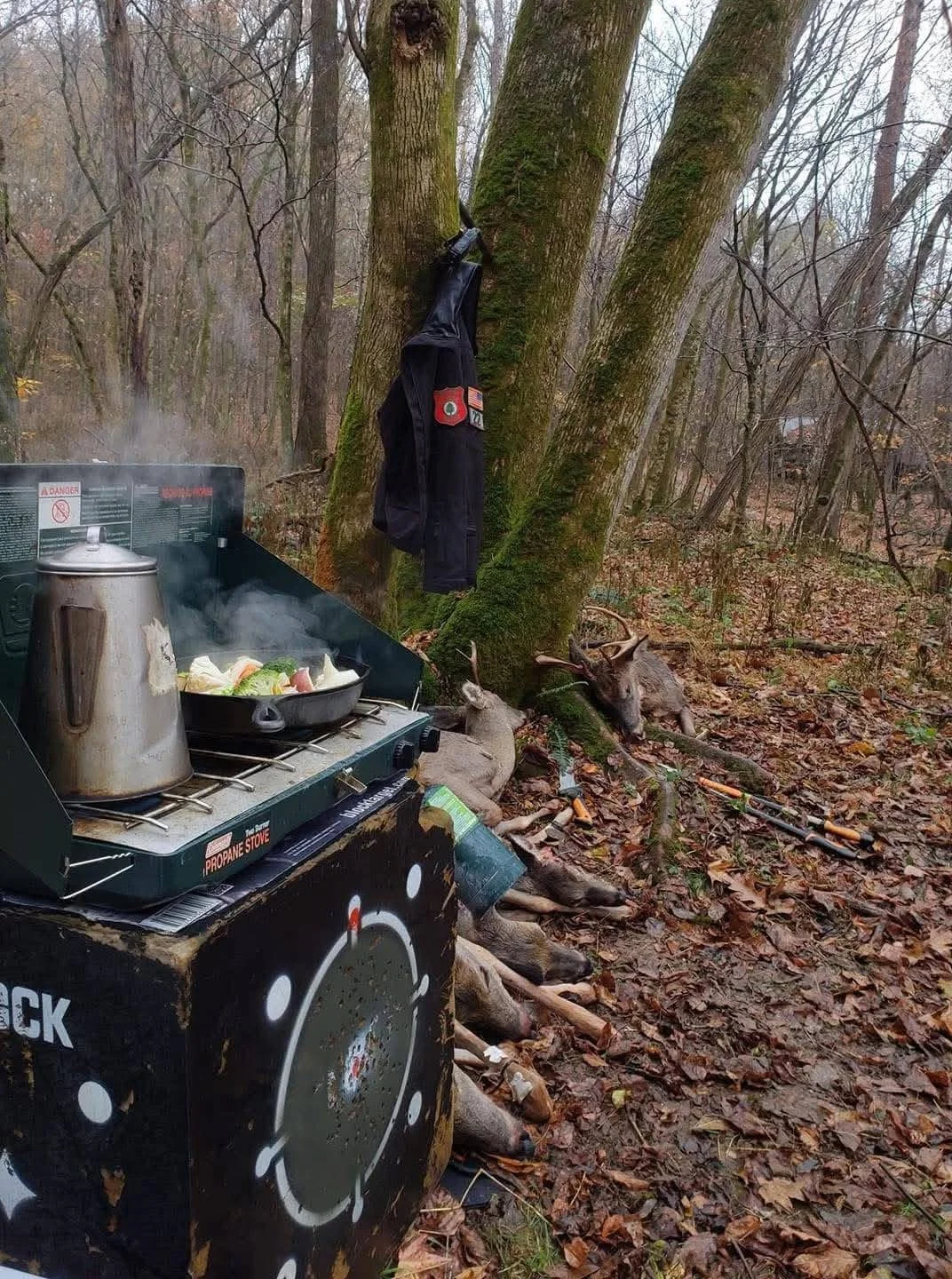 Camping scene in a forest with a propane stove on a black metal table, a kettle, and a frying pan cooking vegetables. Two deer are lying on the ground near the tree, with the tree's trunk equipped with a hanging jacket. The forest floor is covered with fallen leaves.