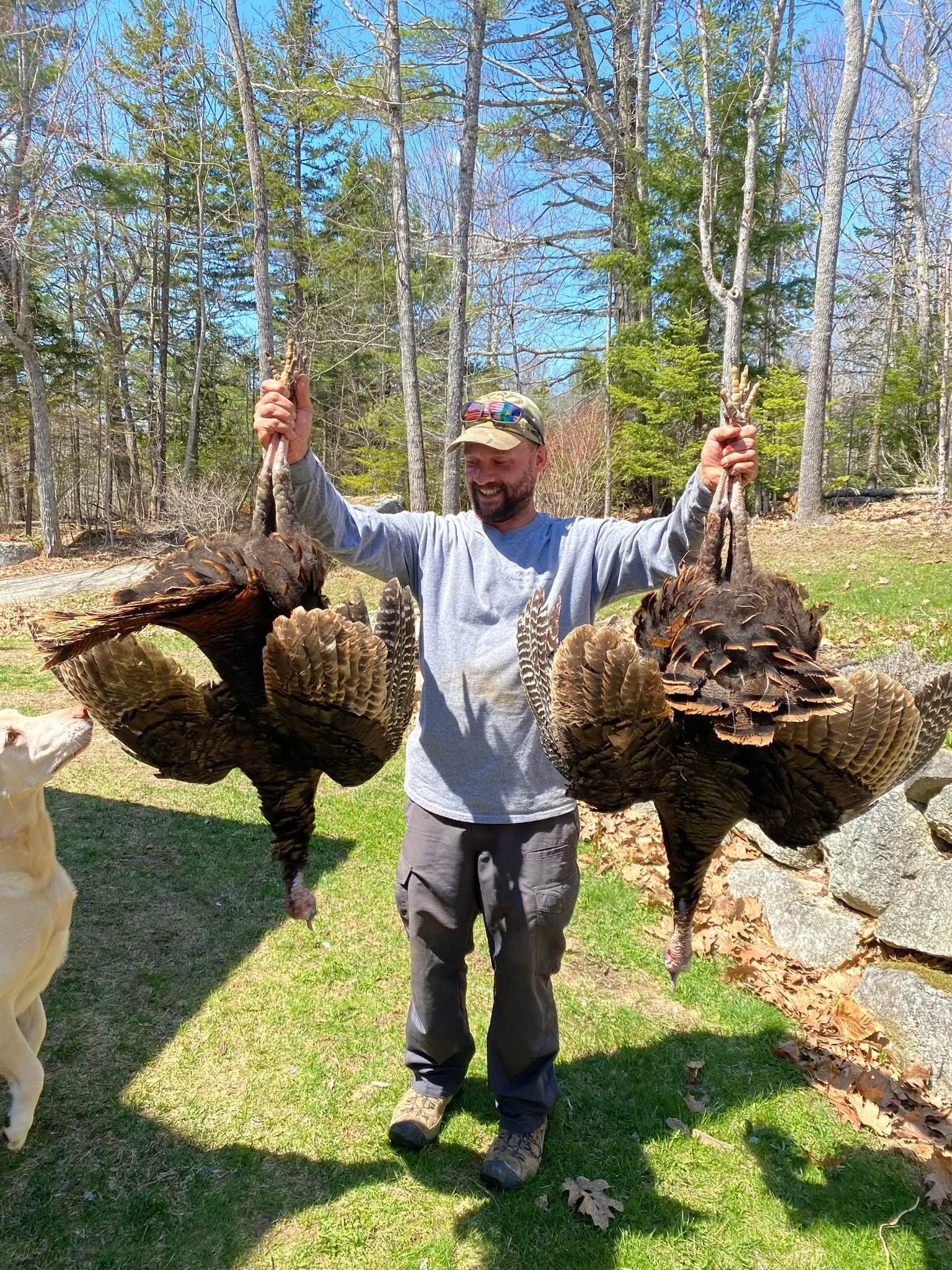 A bearded man in outdoor clothing and a cap is smiling and holding two large wild turkeys by their necks in a wooded park with green grass and trees.