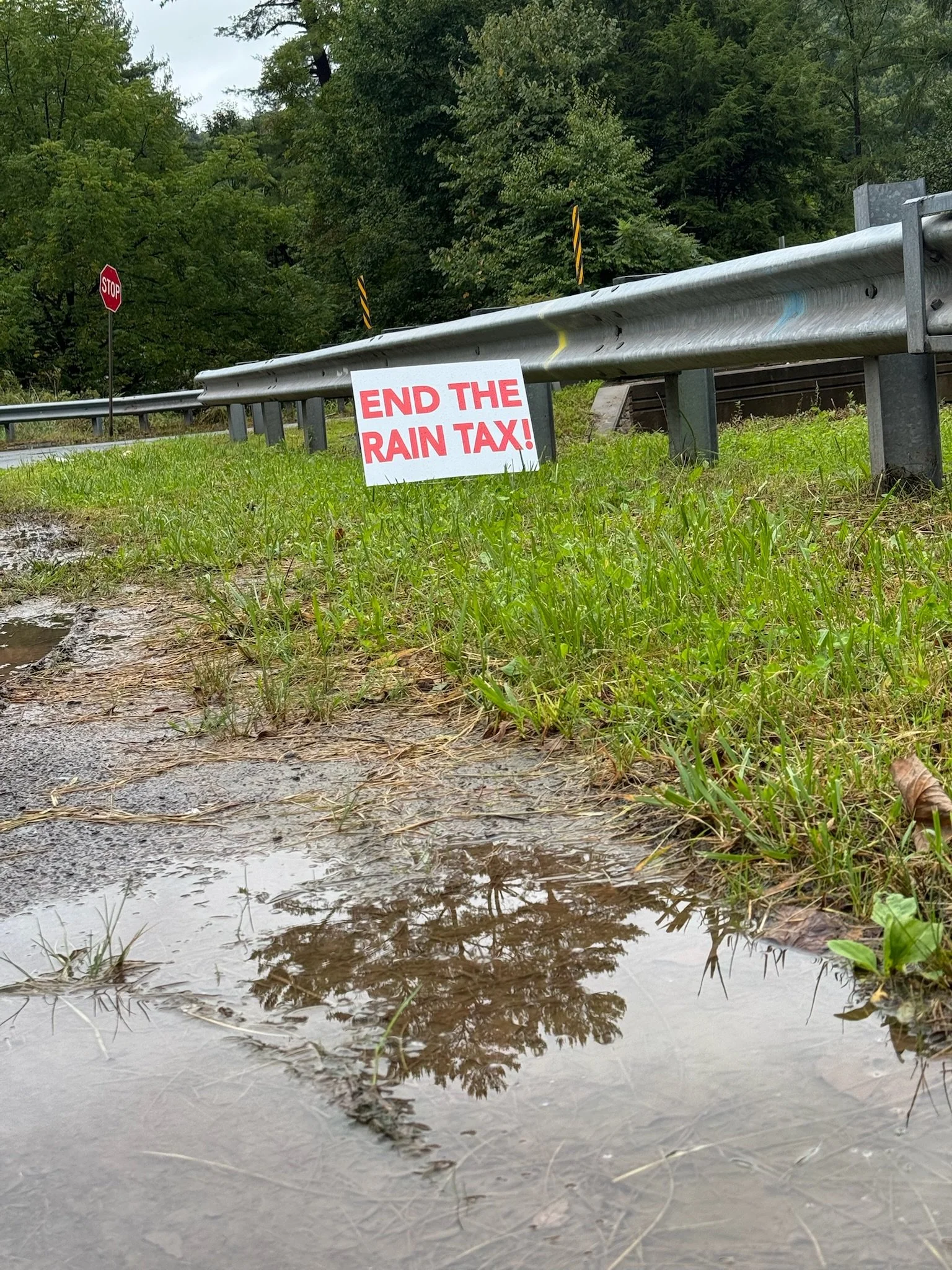 A roadside scene with green trees, a stopped vehicle in the background, a stop sign, a guardrail, and a protest sign that reads 'END THE RAIN TAX' leaning against the guardrail, with puddles on the ground.