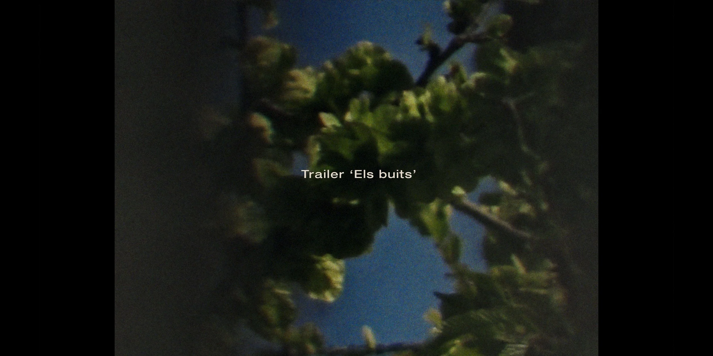 Thumbnail_Trailer Els buits.jpg