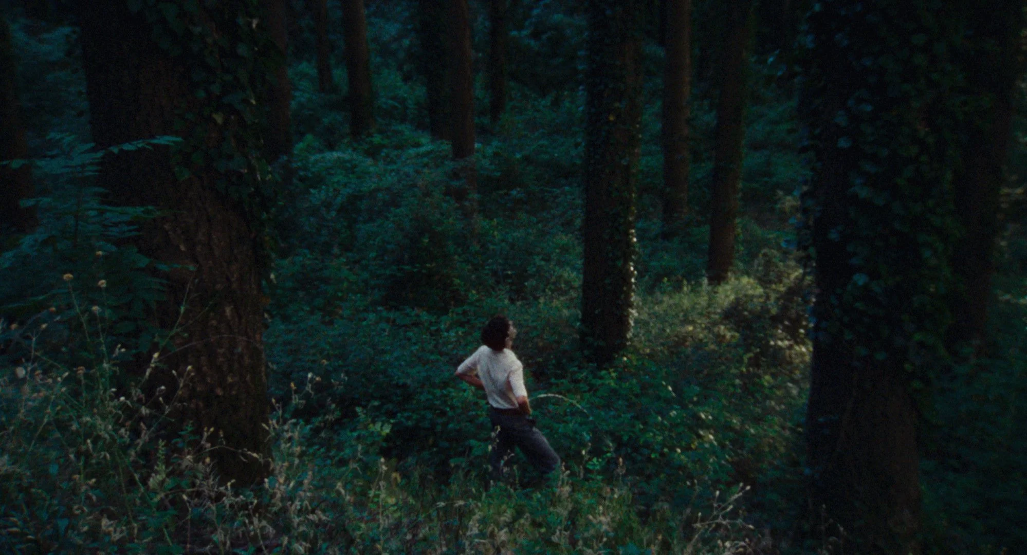 STILLS_LA_5.jpg